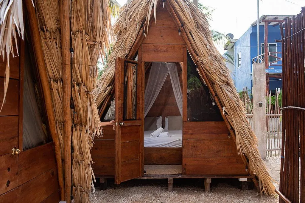 Photo of the whole room, Bed in Mapache Hostel