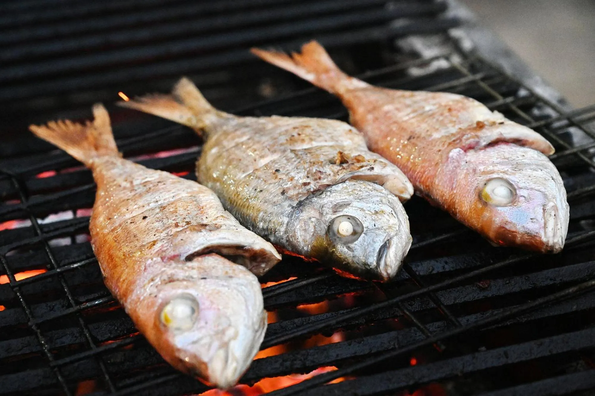 Restaurant/places to eat in Boa Vista Hotel & Spa - Adults Only