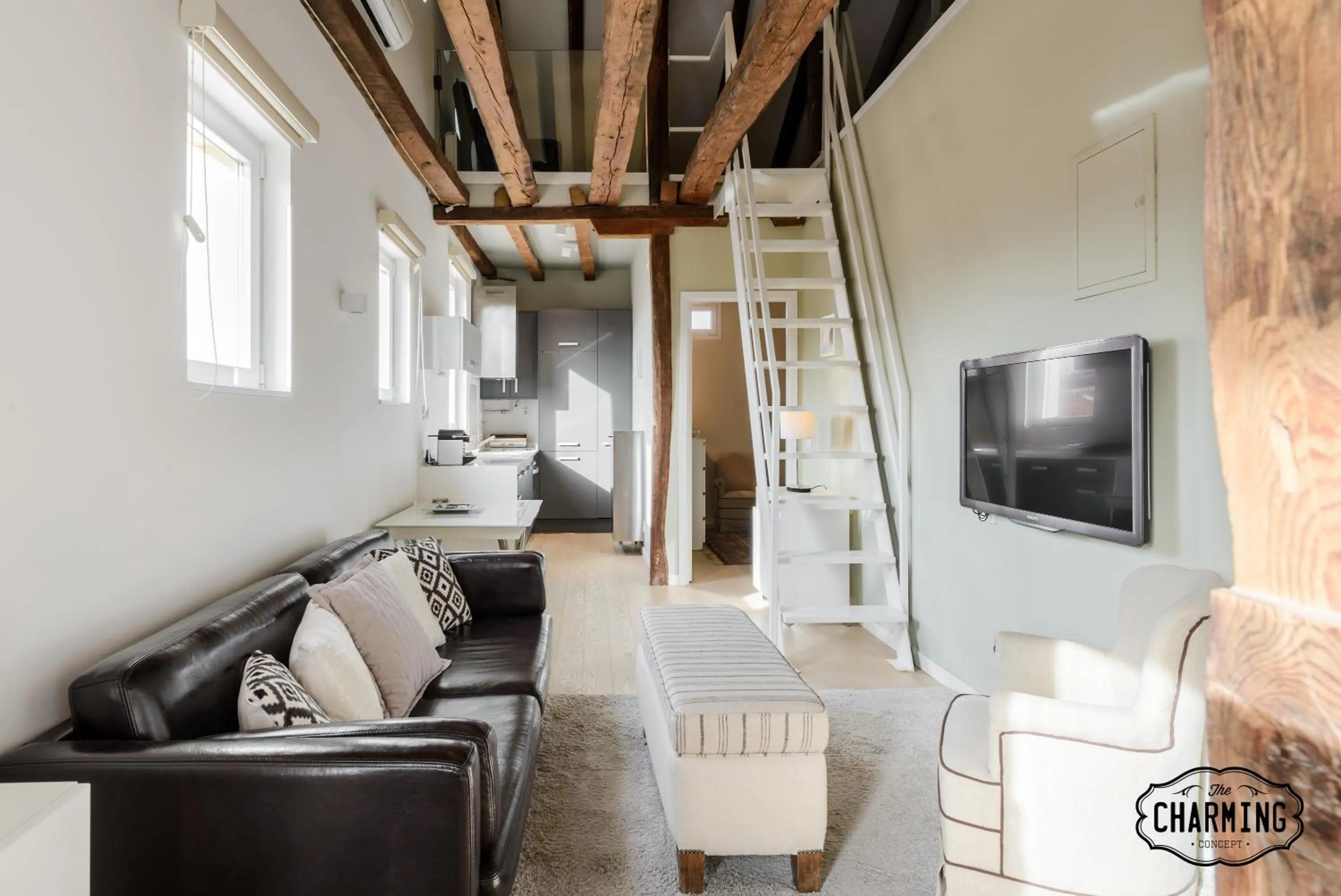 Living room in Charming Reina Sofía