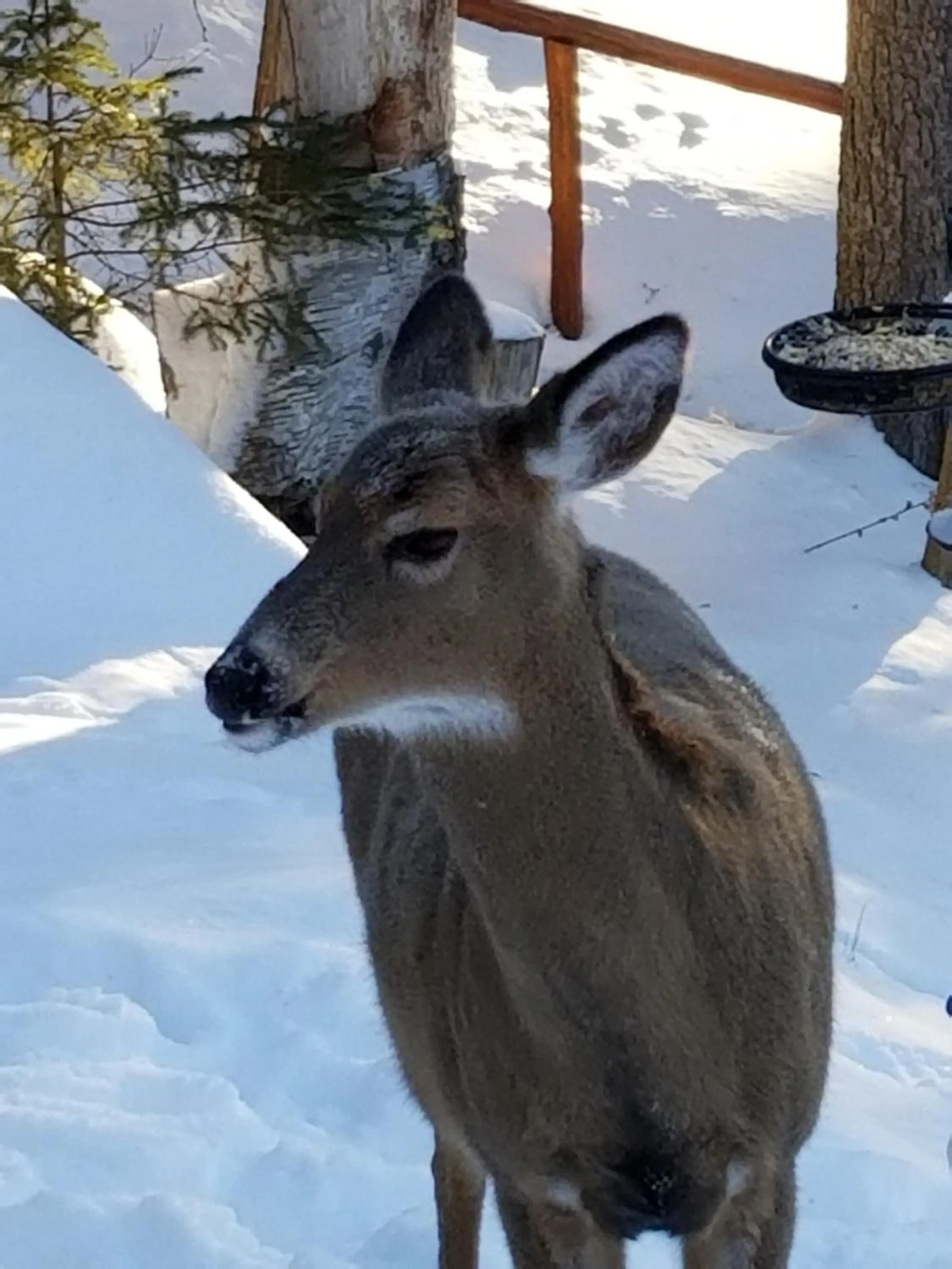 Off site in Kan-à-Mouche Pourvoirie Auberge et Chalets