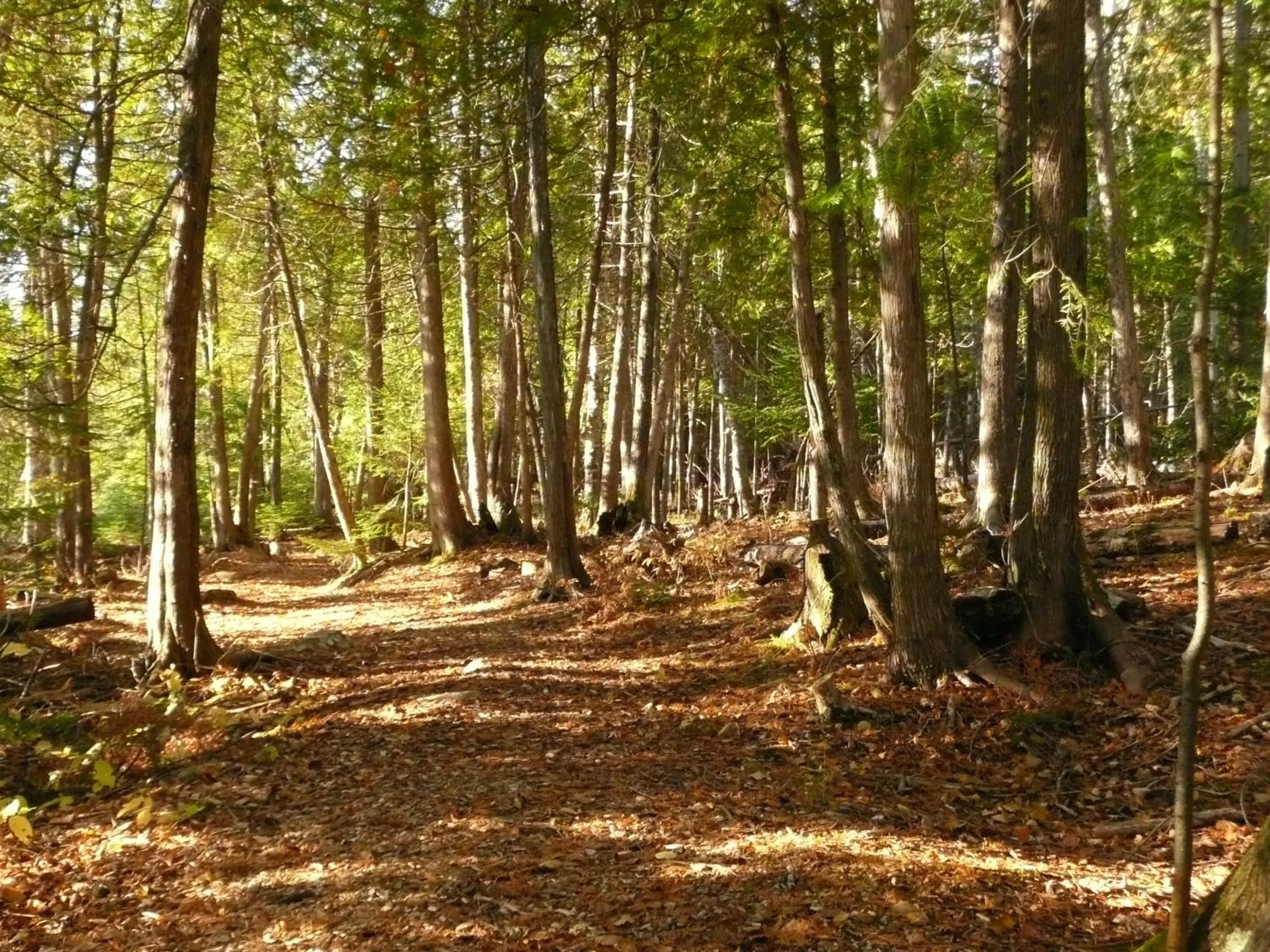 Natural landscape in Kan-à-Mouche Pourvoirie Auberge et Chalets