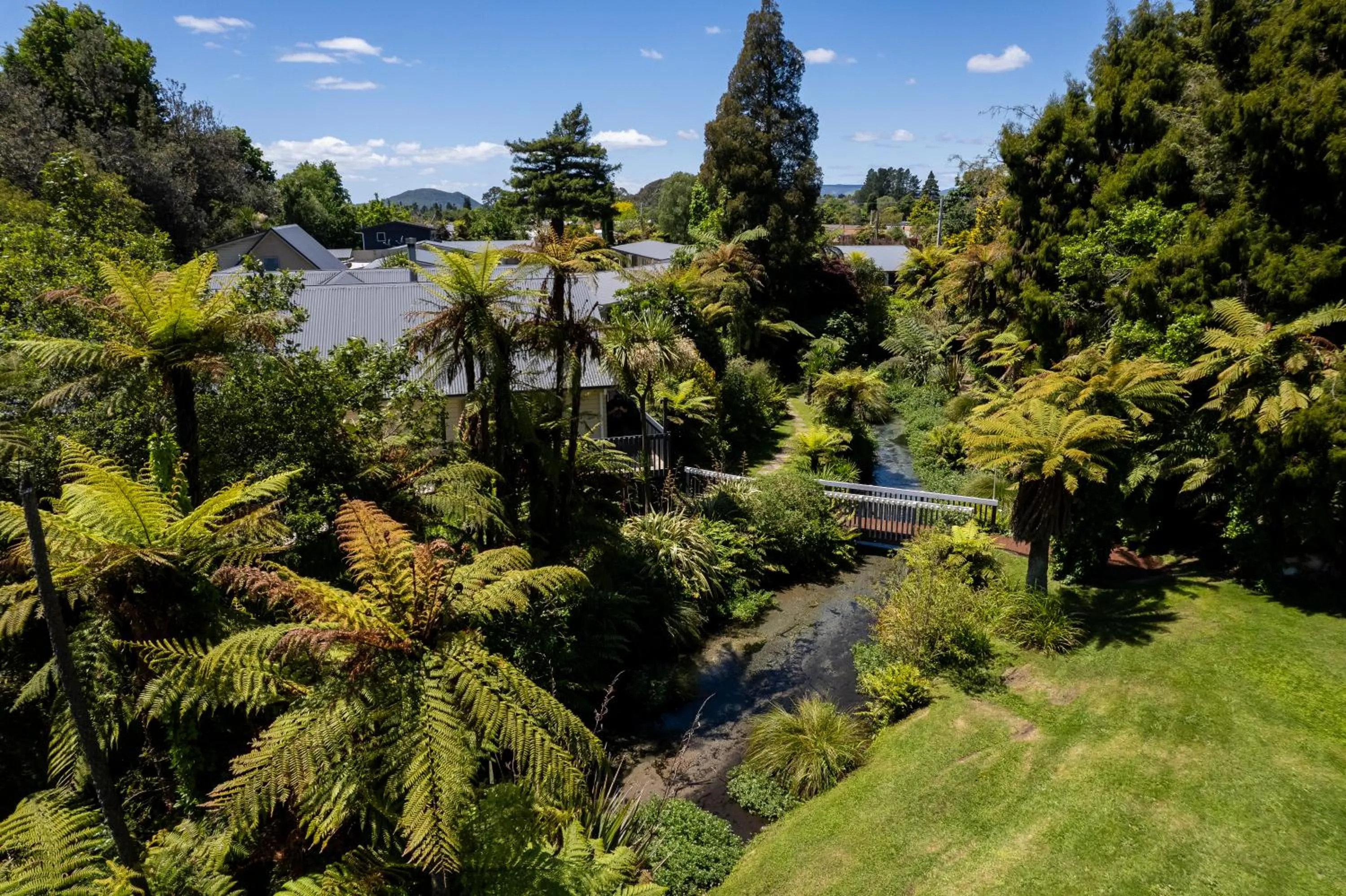Garden in Ripple Rotorua