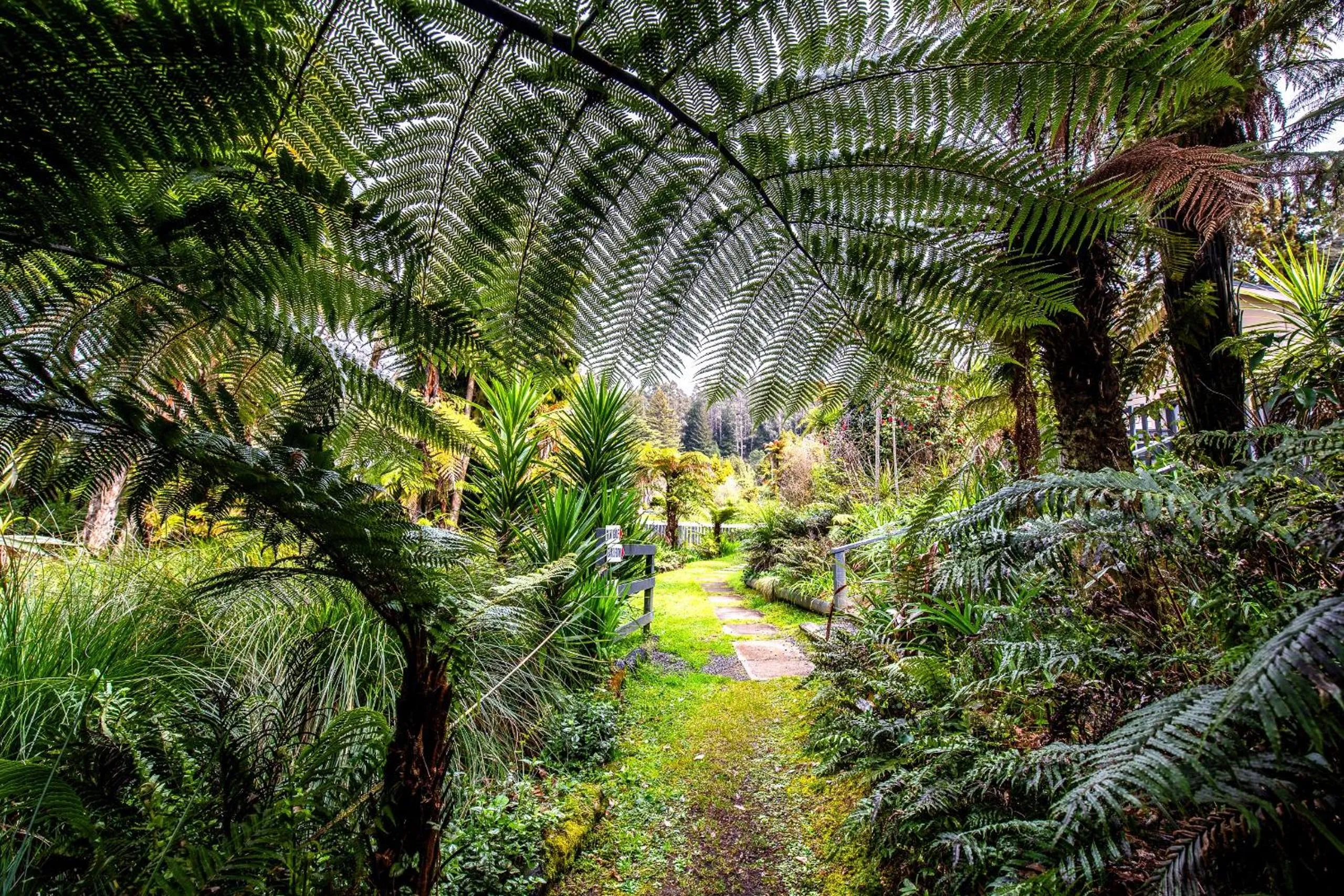 Natural landscape in Ripple Rotorua