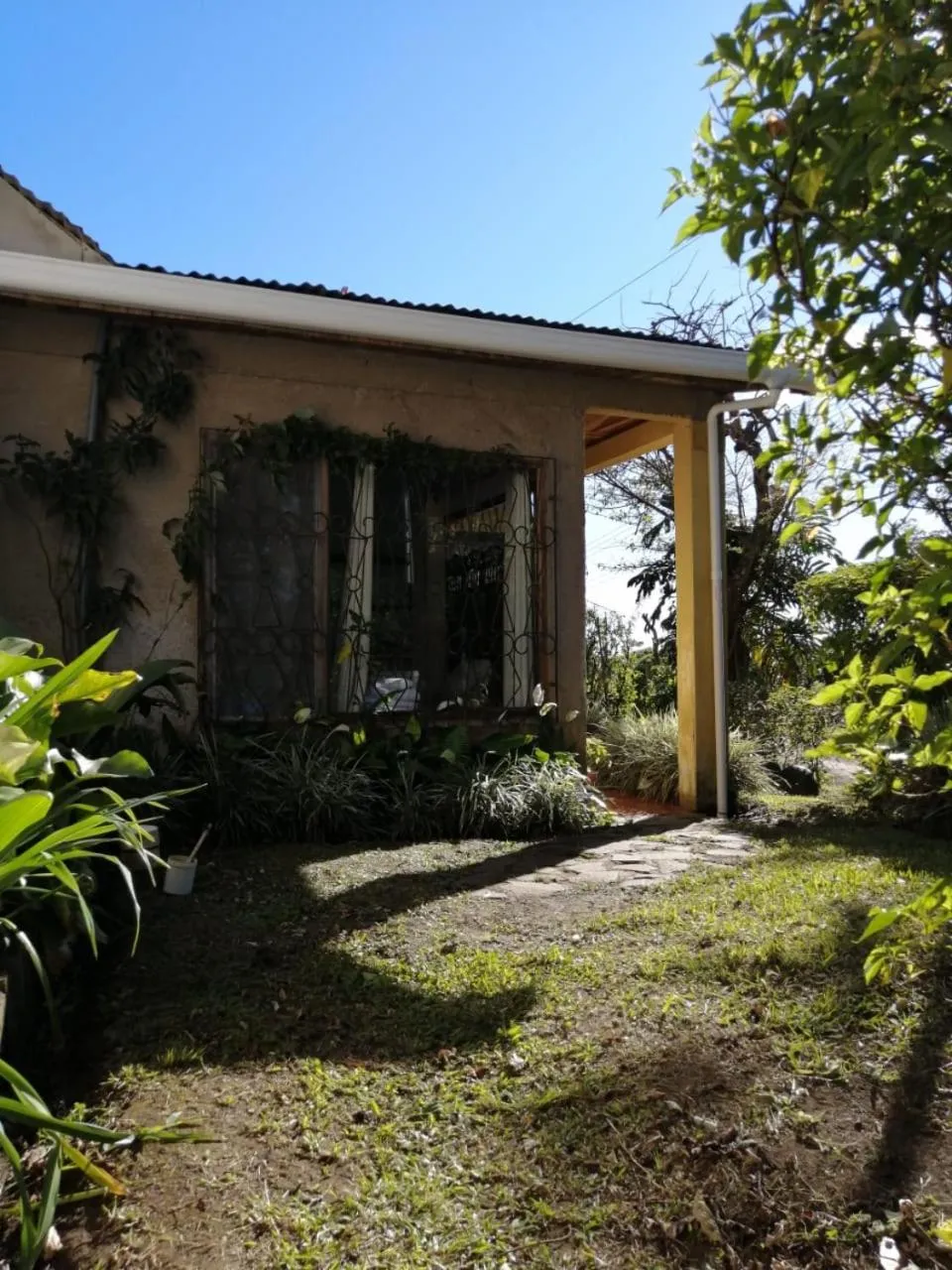 Property building in Casa Copalchi