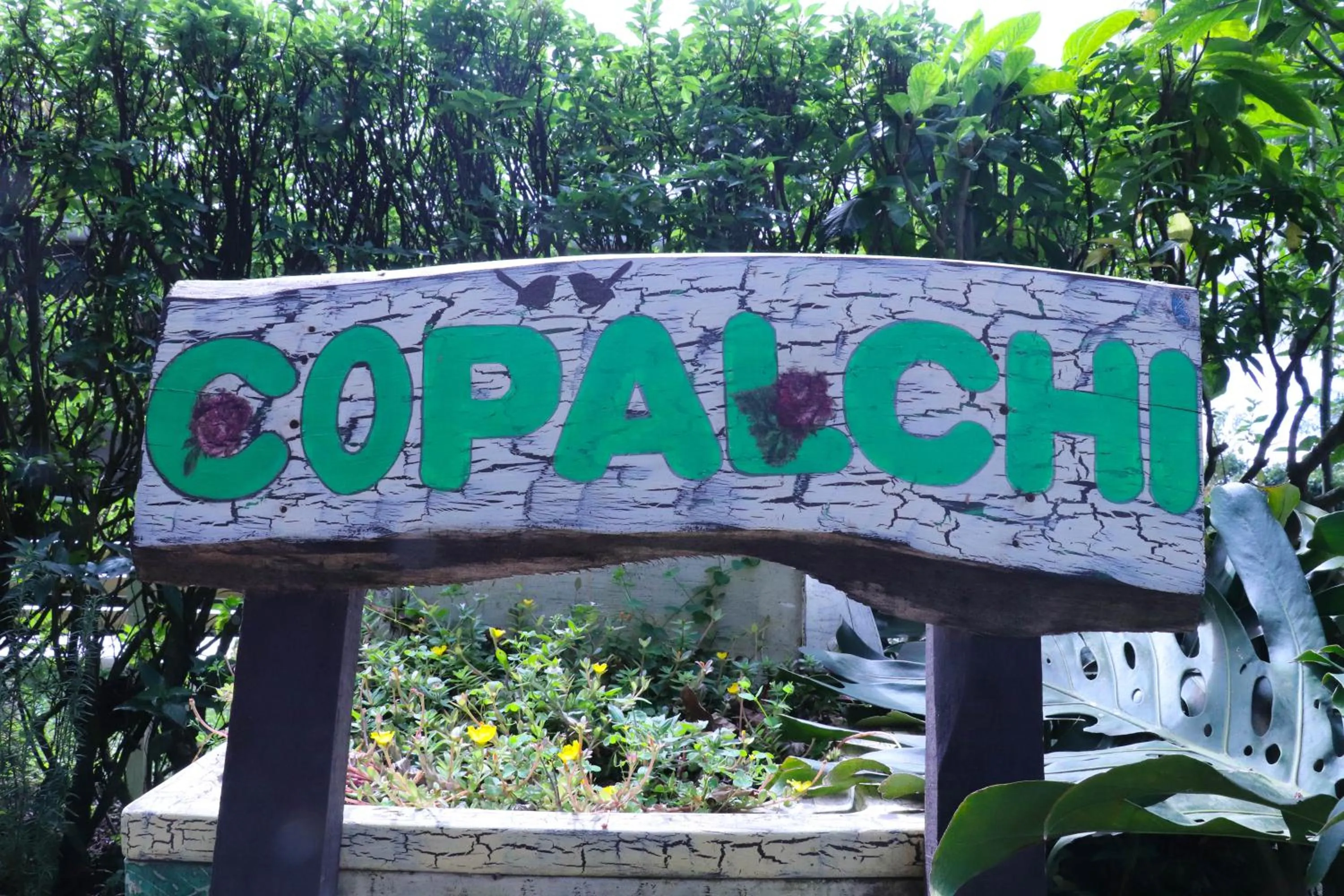 Property logo or sign in Casa Copalchi