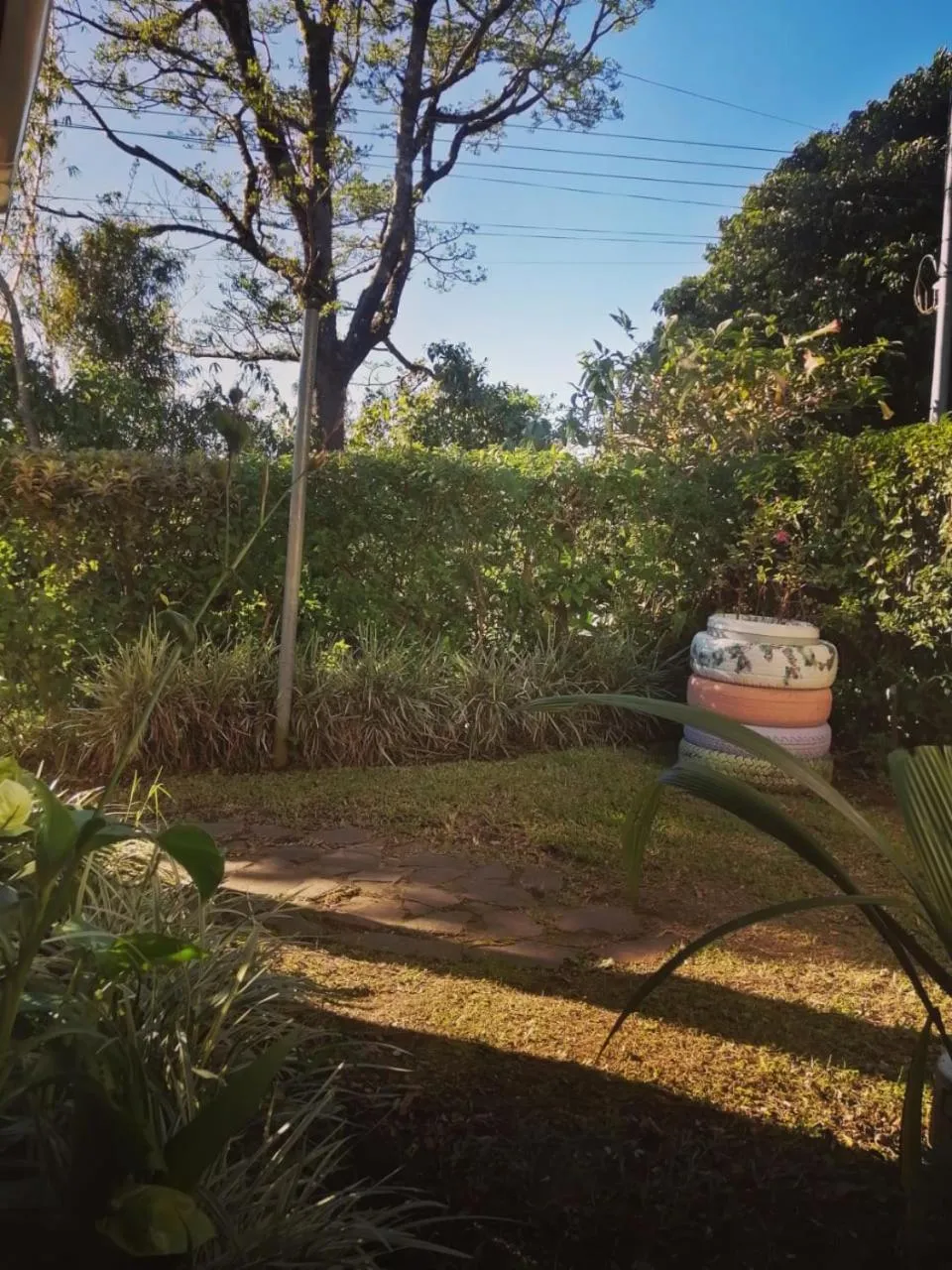 Property building in Casa Copalchi