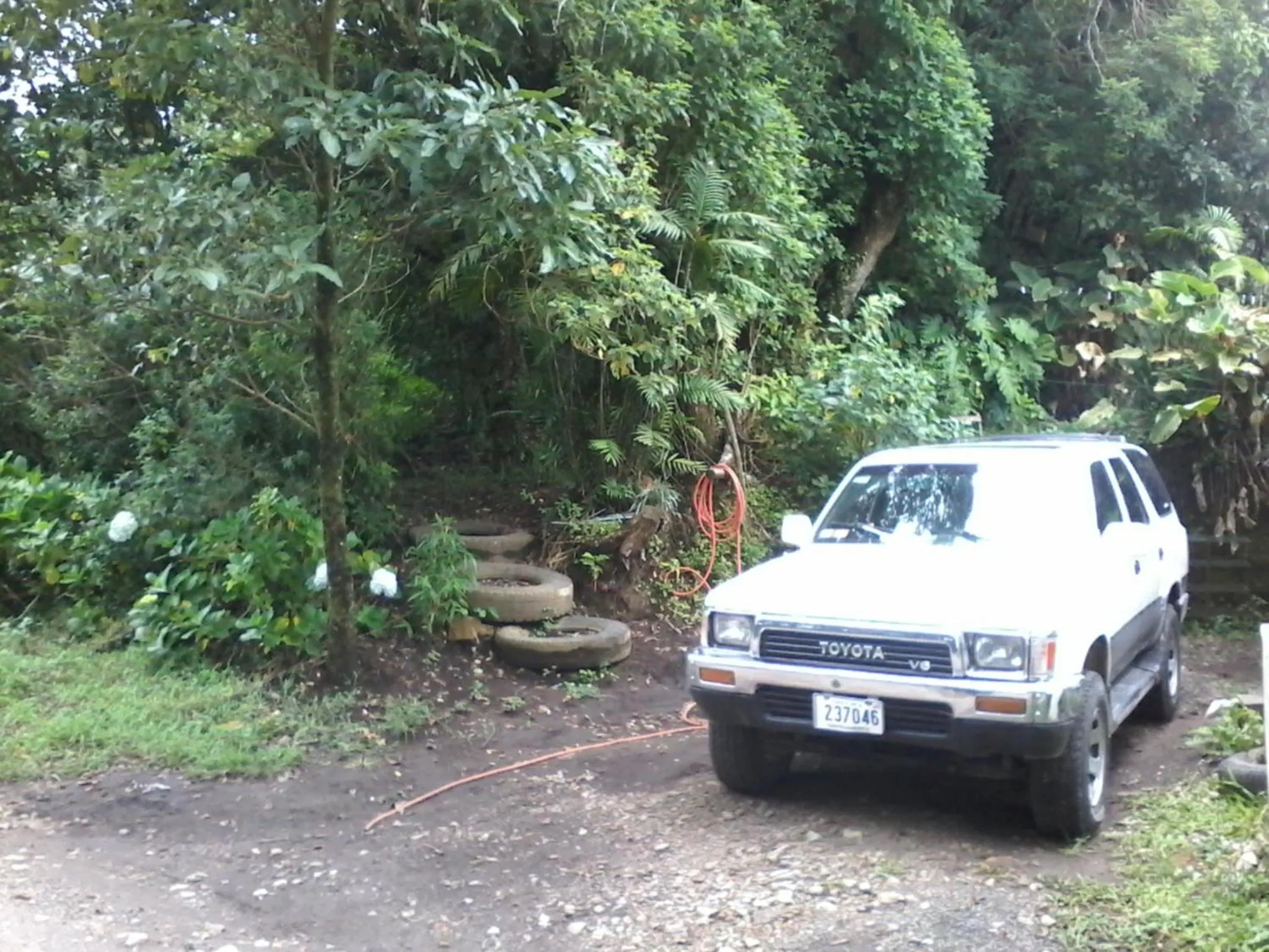 Garden in Casa Copalchi