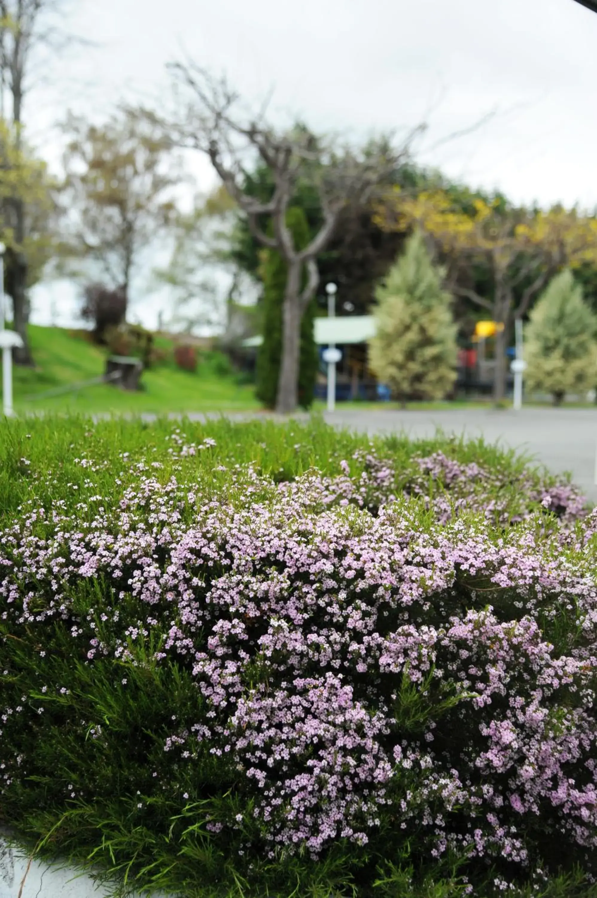 Standard Two-Bedroom Apartment (West) in Blenheim Bridges Holiday Park Standard Two-Bedroom Apartment (West) in Blenheim Bridges Holiday Park
