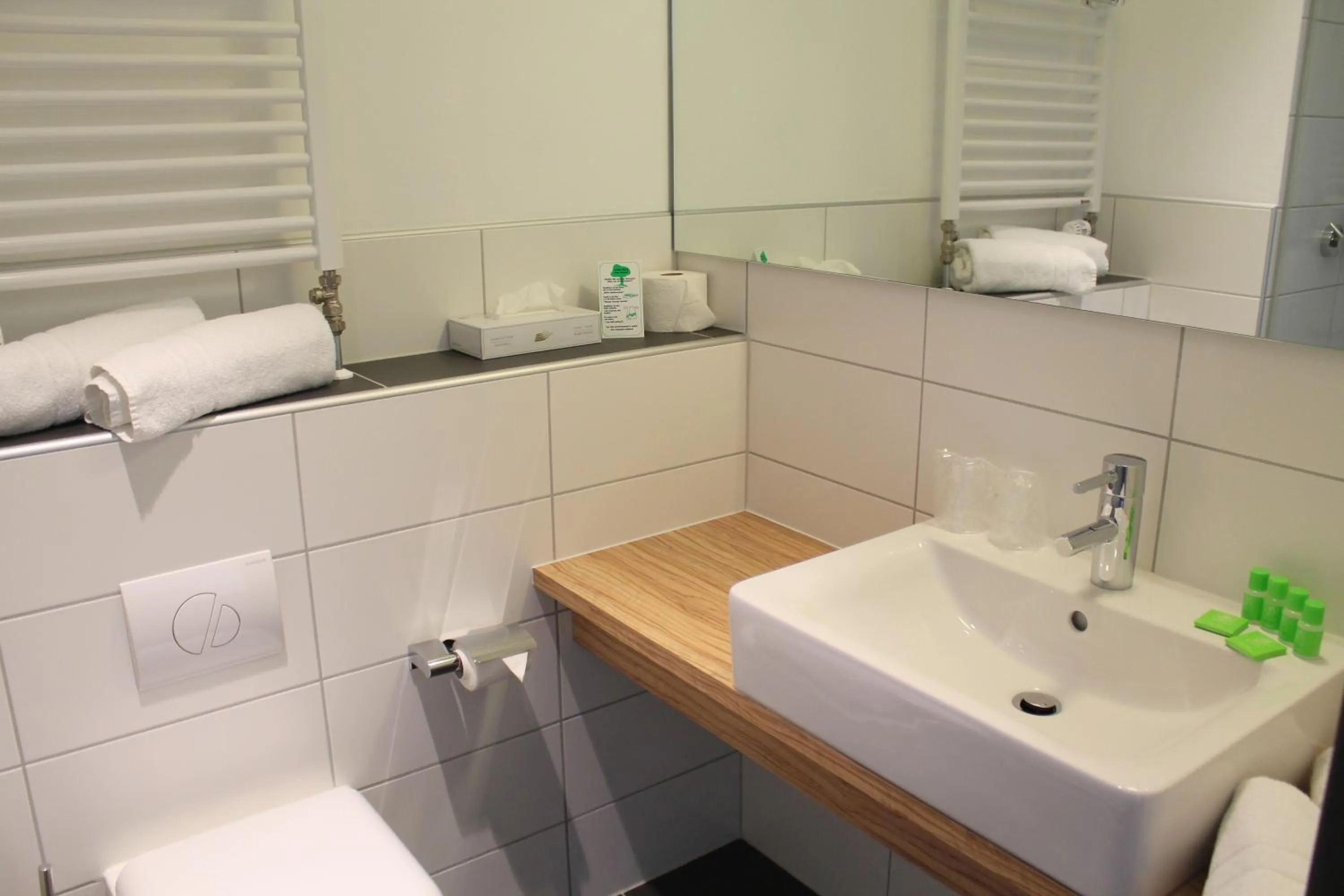 Toilet in Gideon Hotel