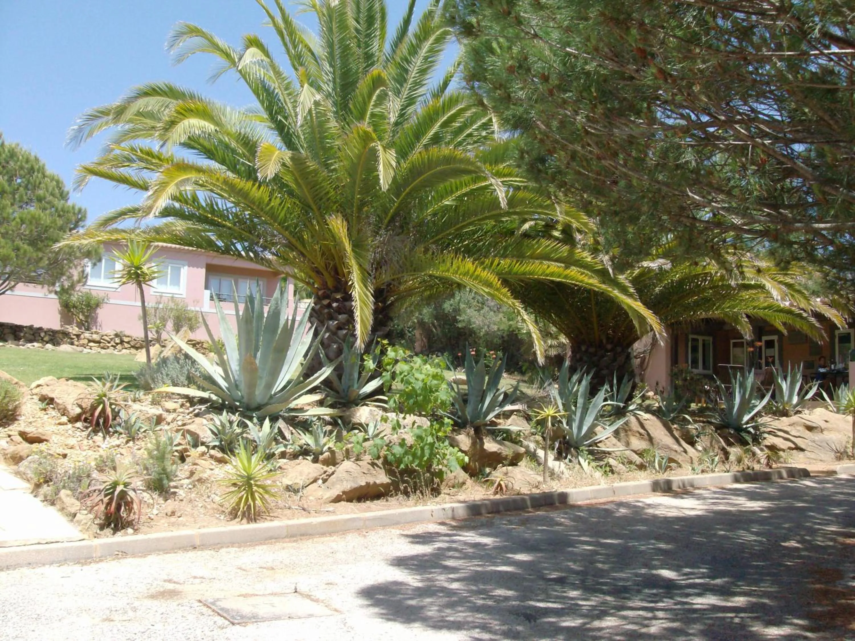 Natural landscape in Belver Porto Dona Maria Resort