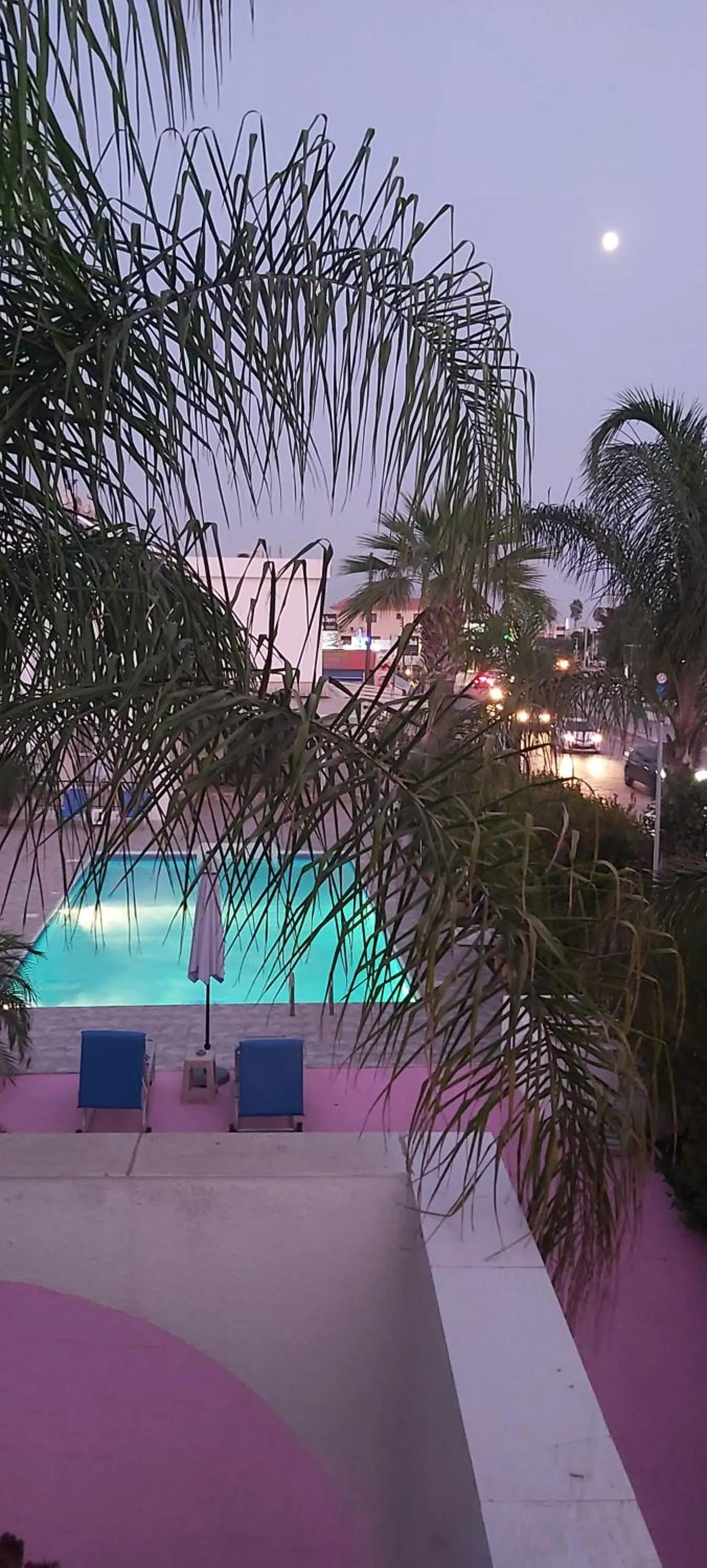 View (from property/room) in Florence Hotel Apartments