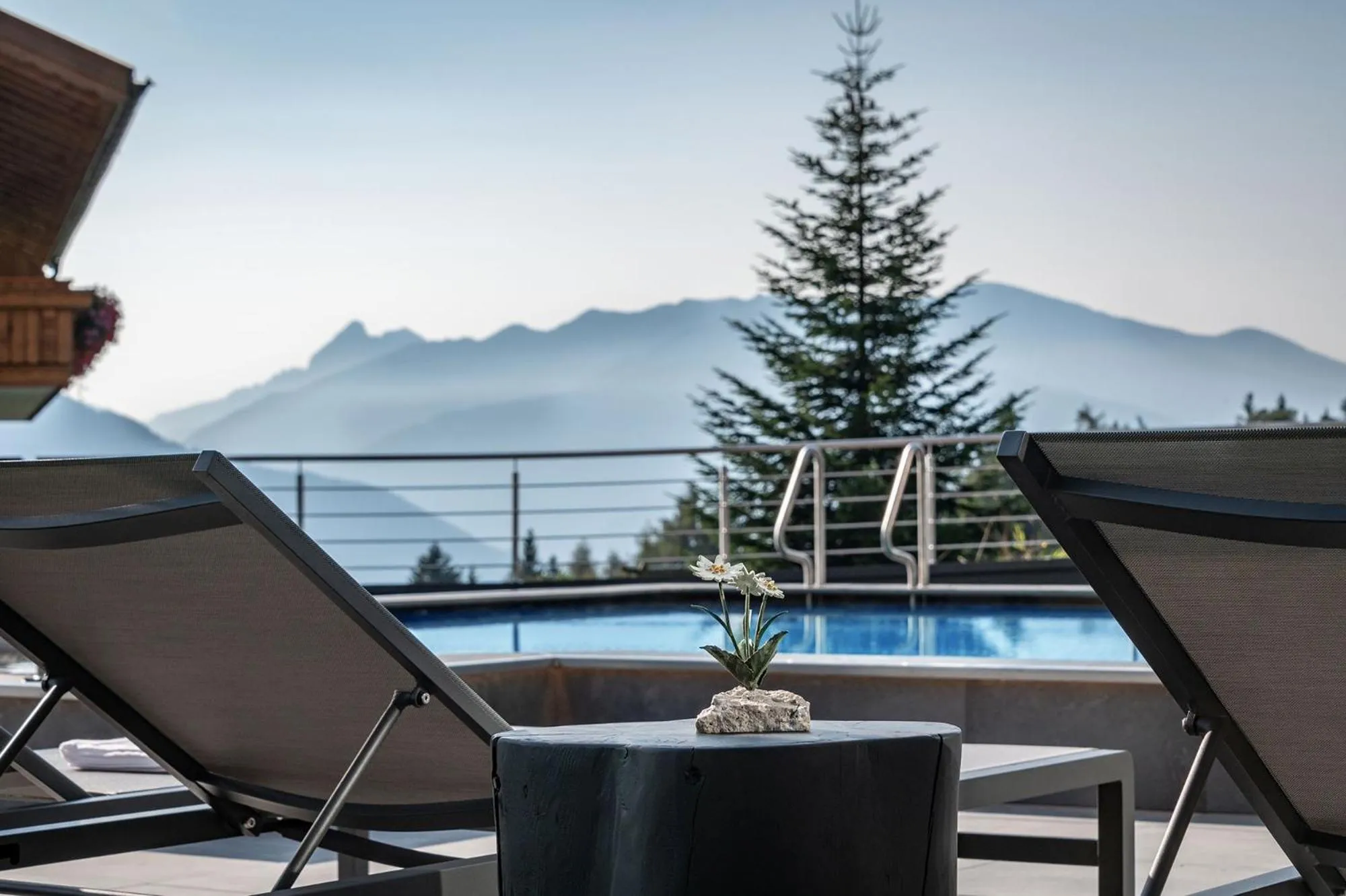 Swimming pool in Hotel Edelweiss