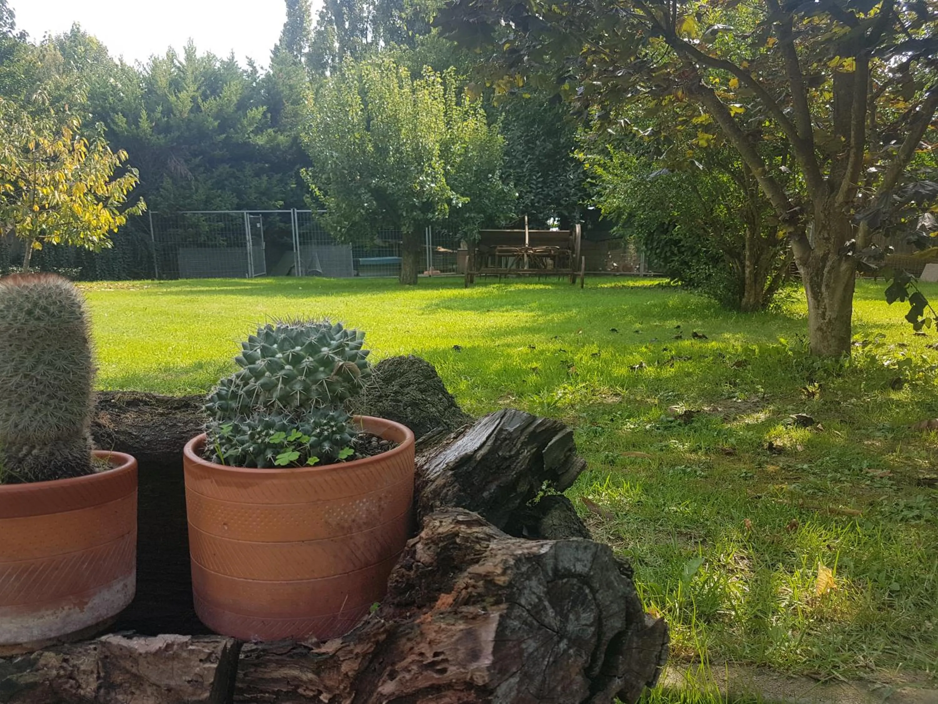 Garden in La casa di Pilar