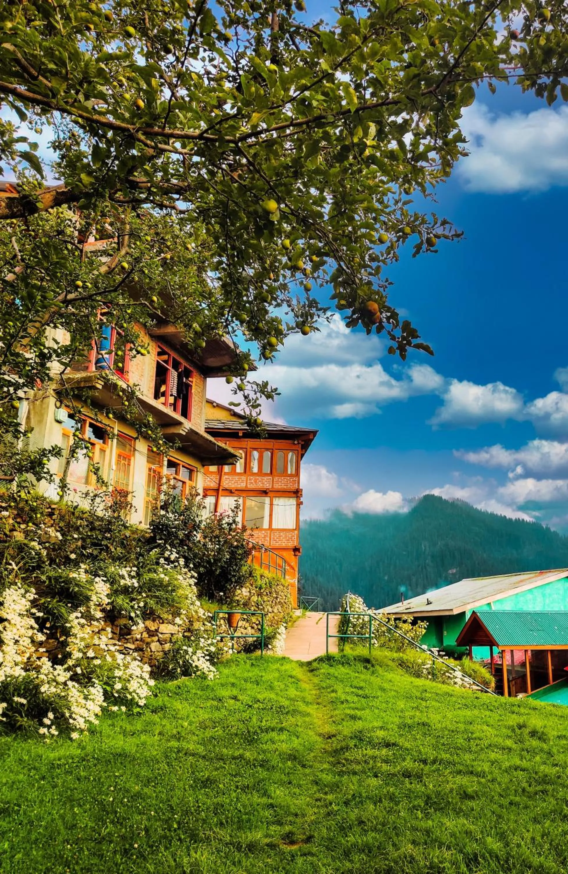 Garden in Banjara Retreat and Cottage Sojha