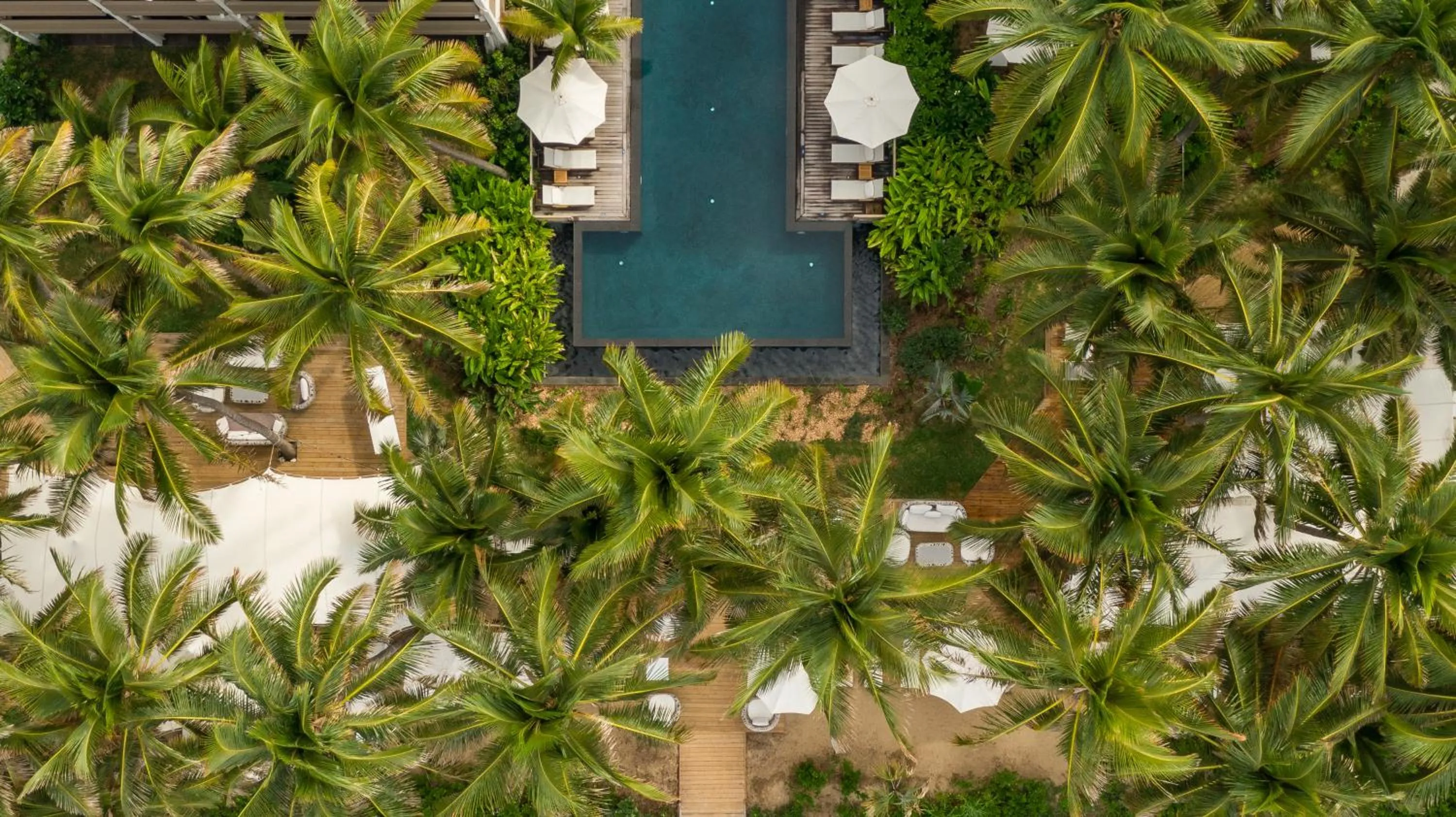 Garden in Ness by D-Ocean