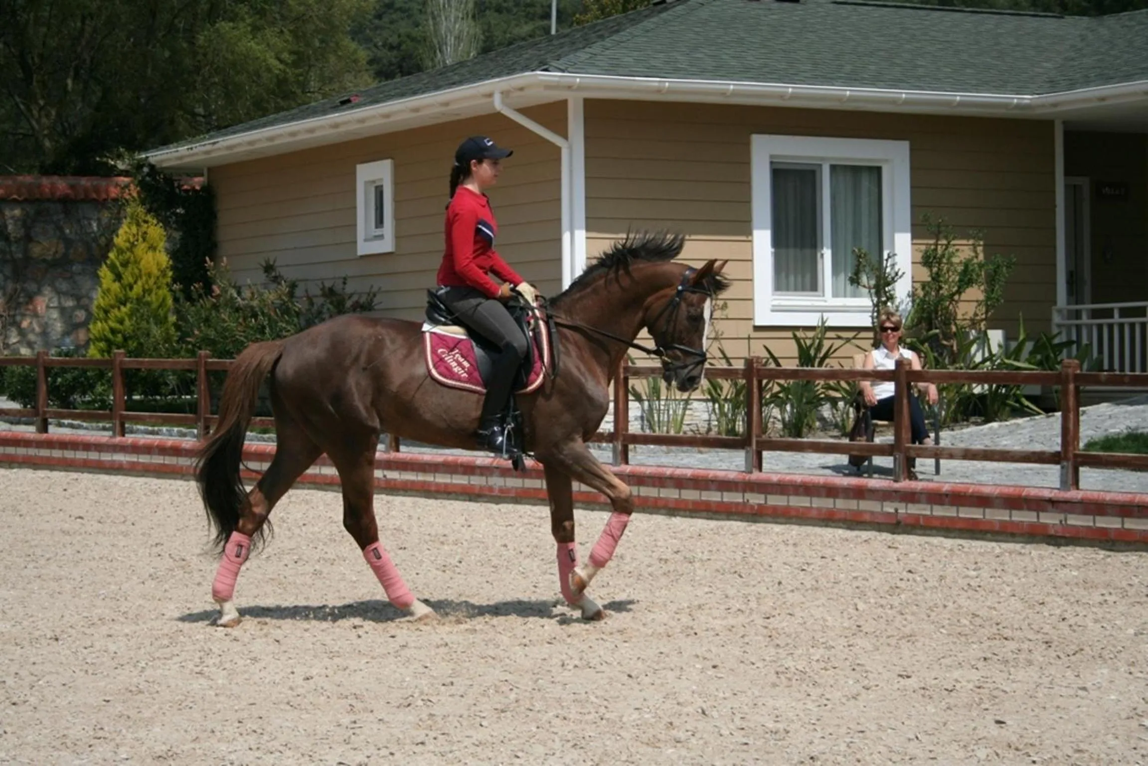 Horse-riding in Padok Premium Hotel & Stables