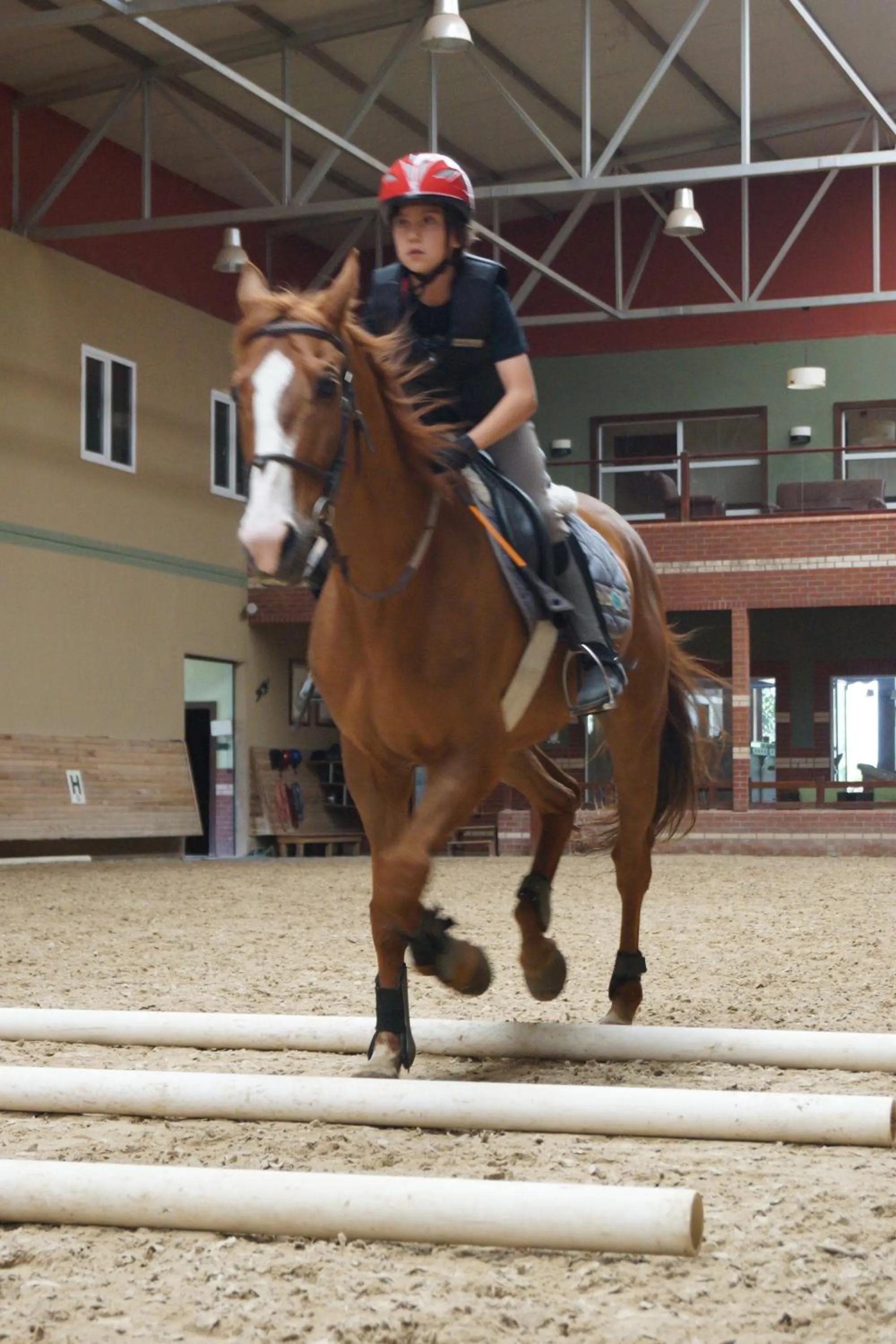 Horse-riding in Padok Premium Hotel & Stables