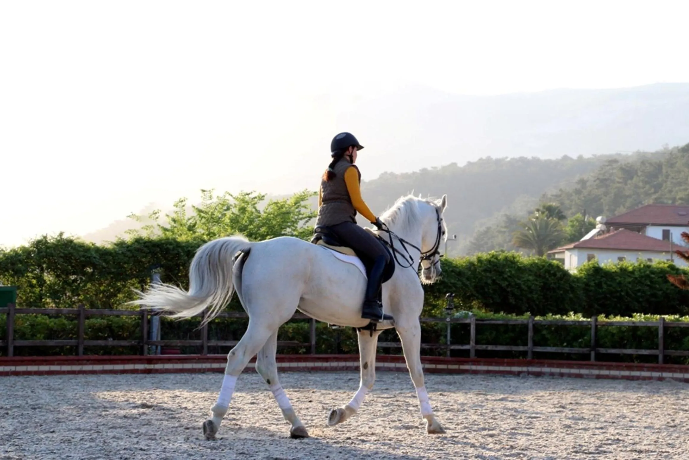 Horse-riding in Padok Premium Hotel & Stables