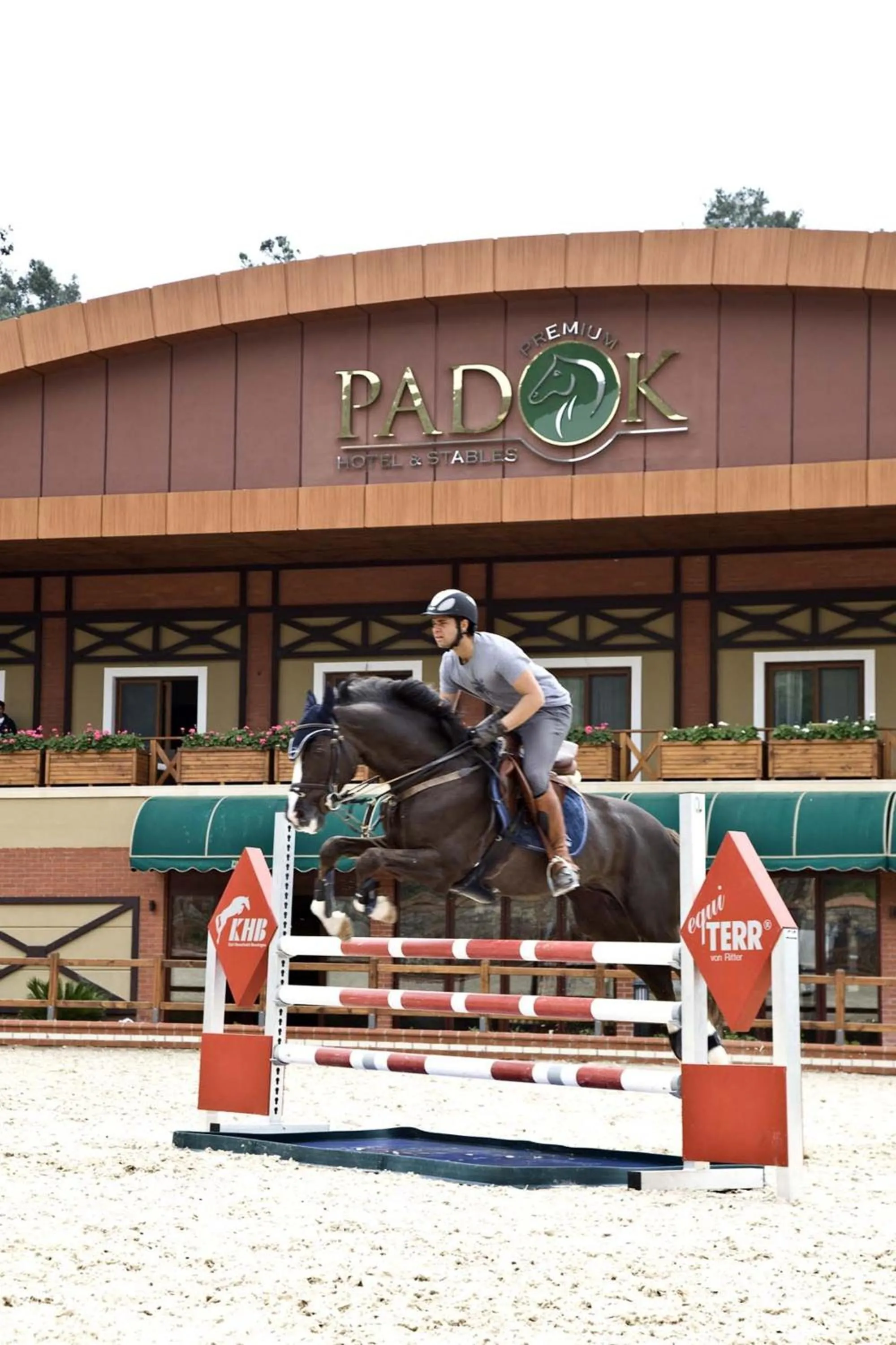 Horse-riding in Padok Premium Hotel & Stables