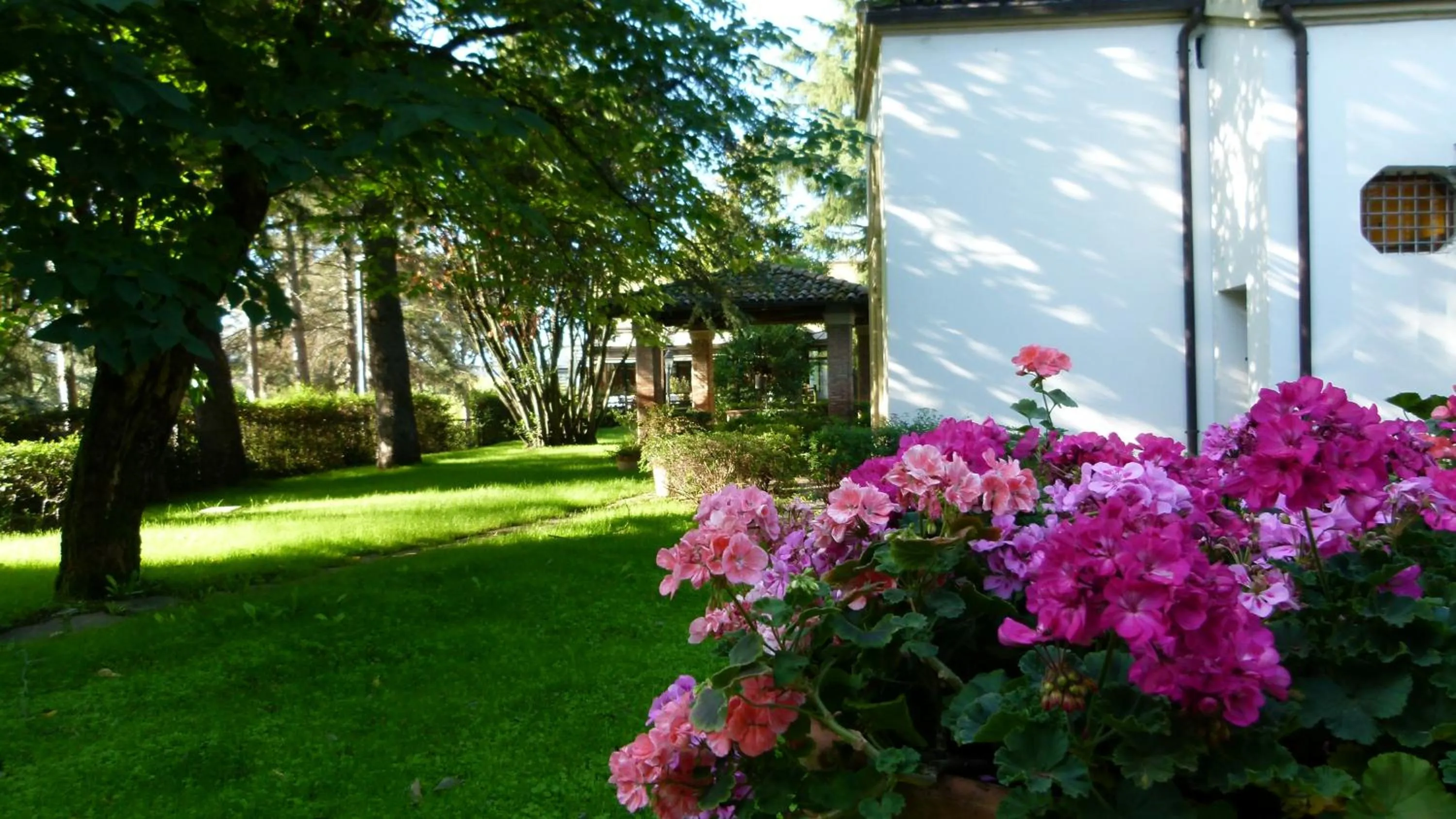 Spring in Meditur Hotel Bologna