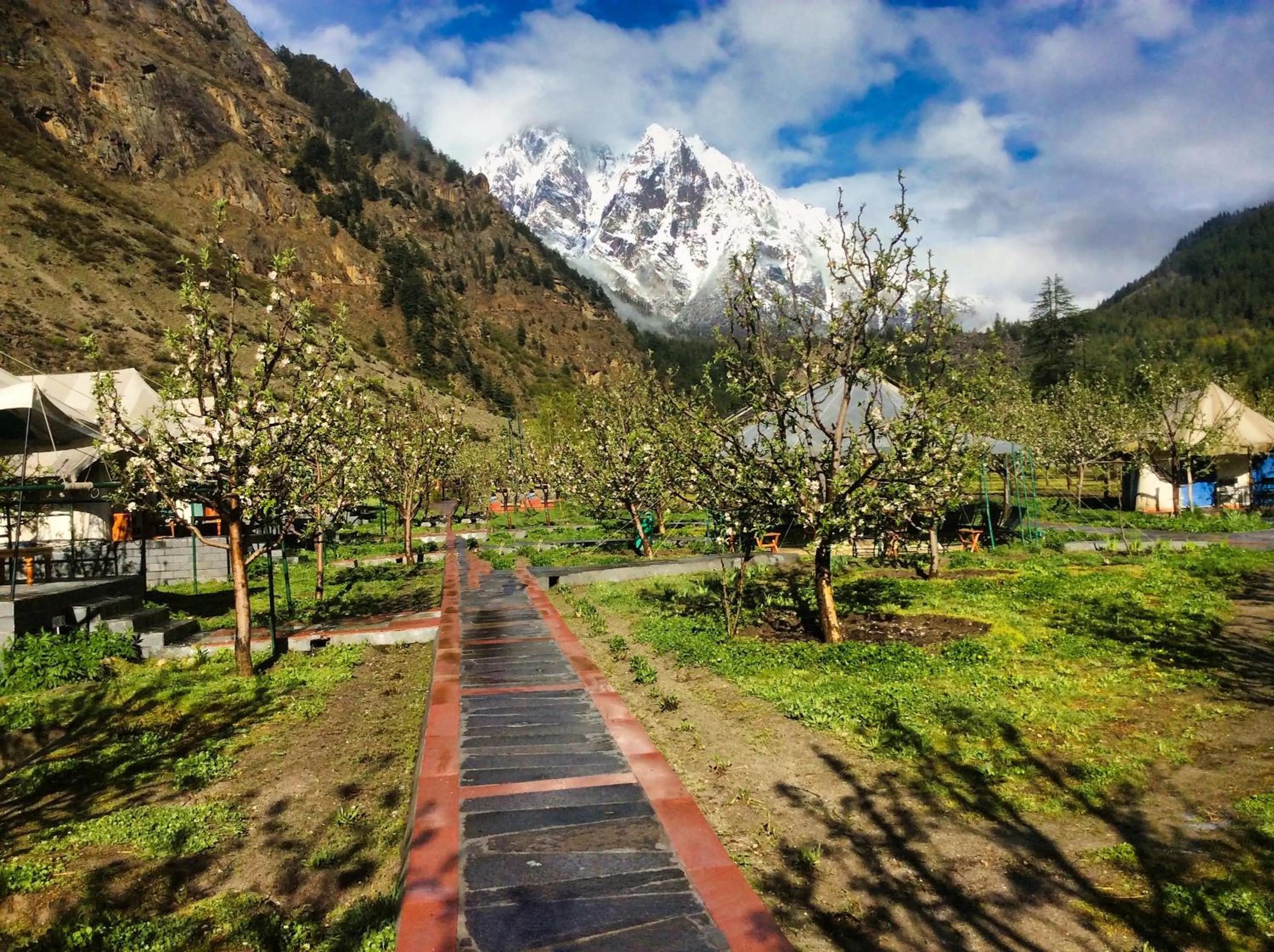Garden in Banjara Camp and Retreat Sangla