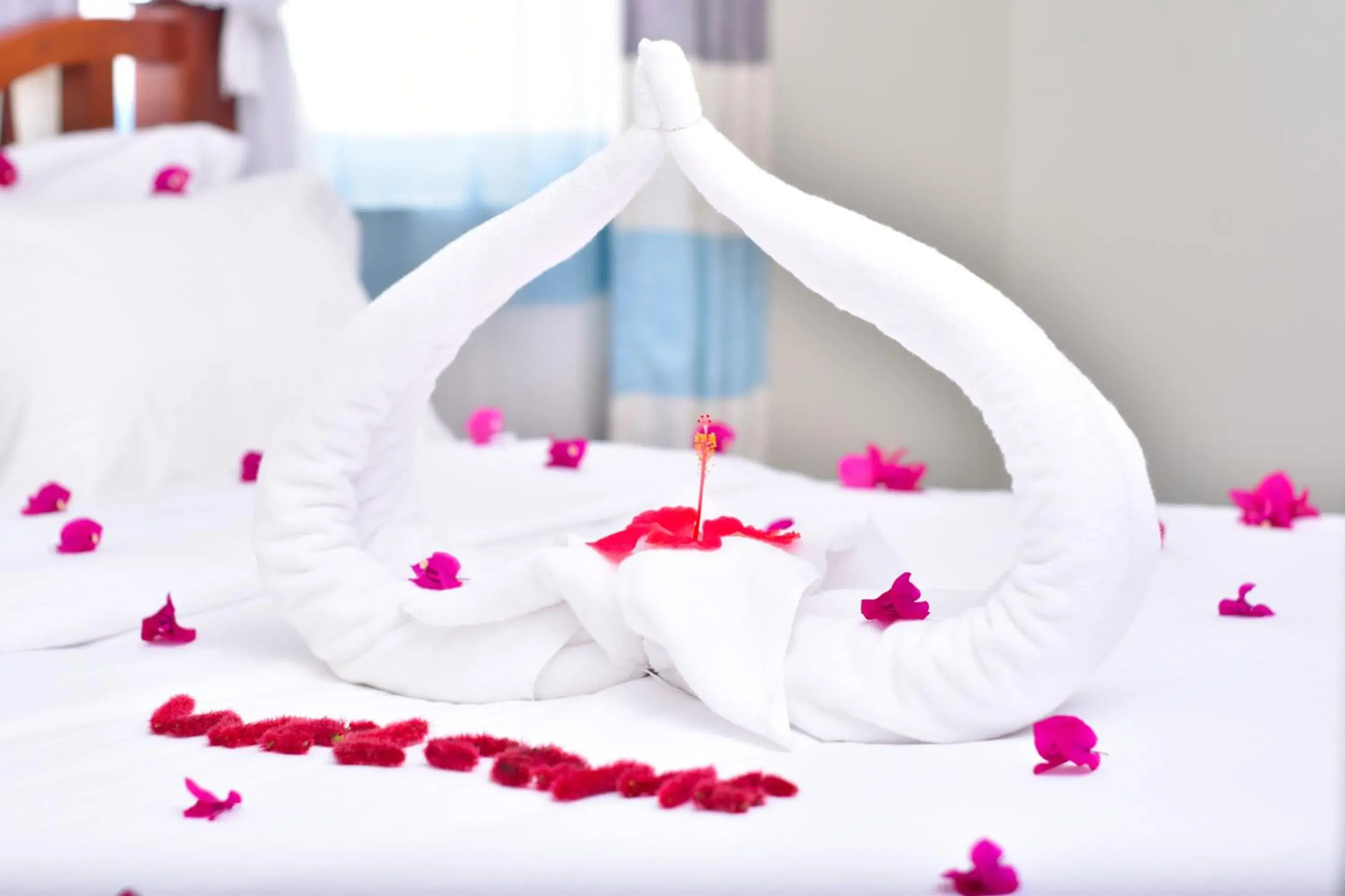 Junior Suite in Sea Crest Hotel Junior Suite in Sea Crest Hotel