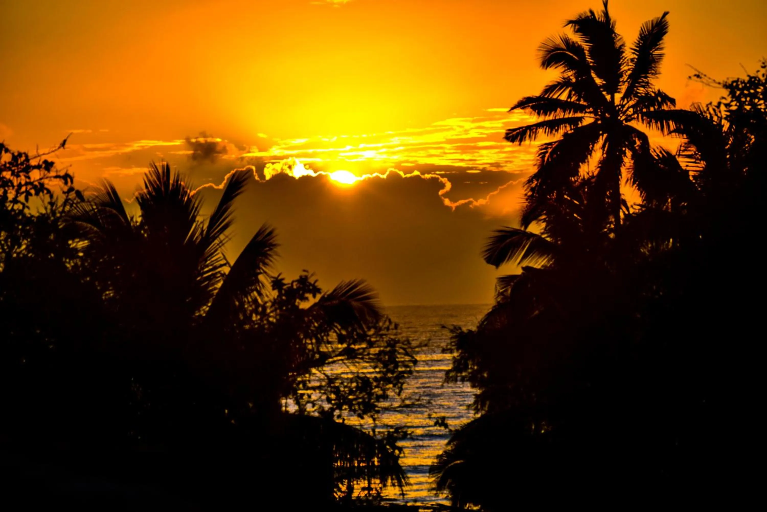 Natural landscape in Sea Crest Hotel