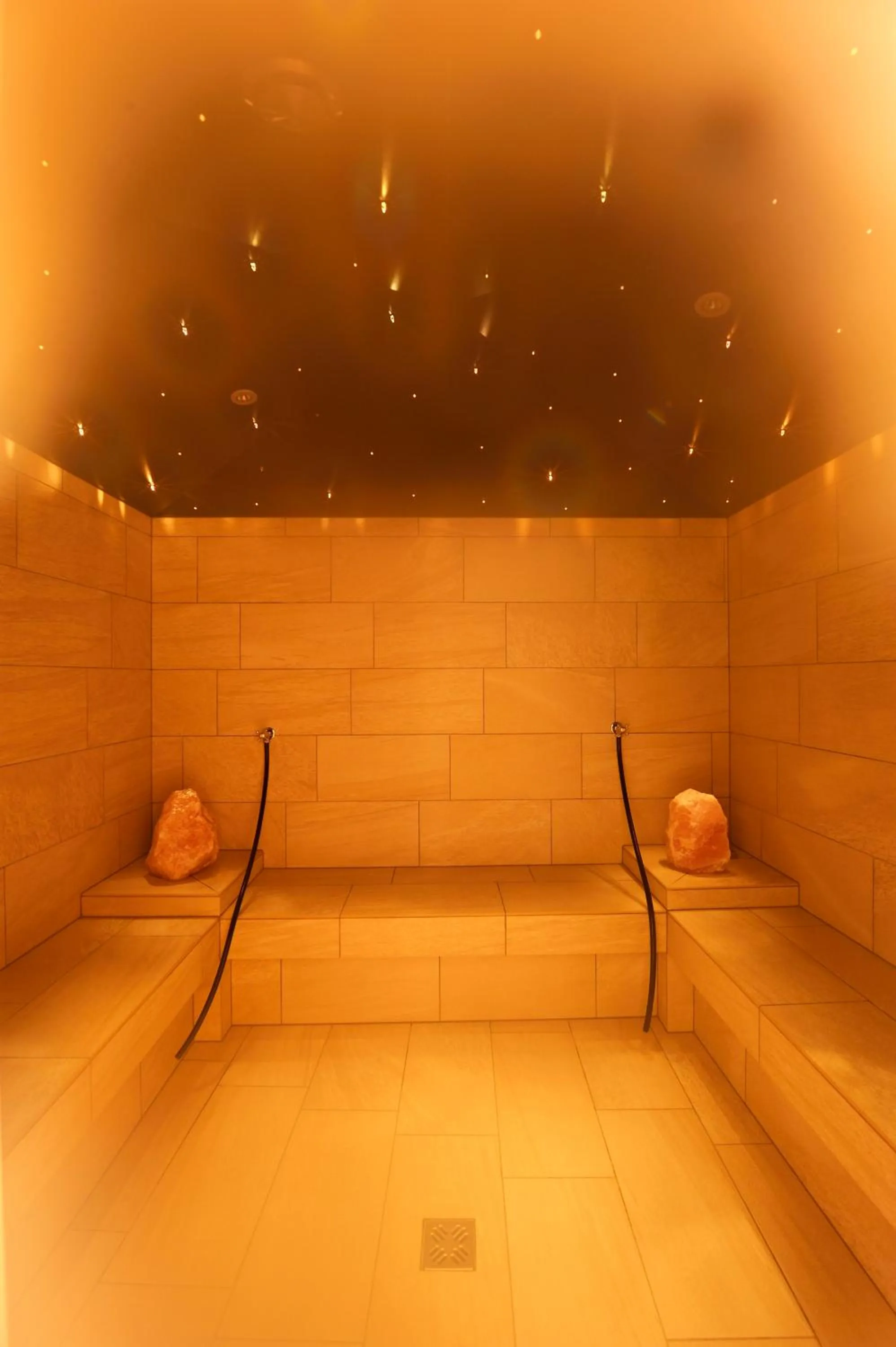 Spa and wellness centre/facilities in Hotel Erika