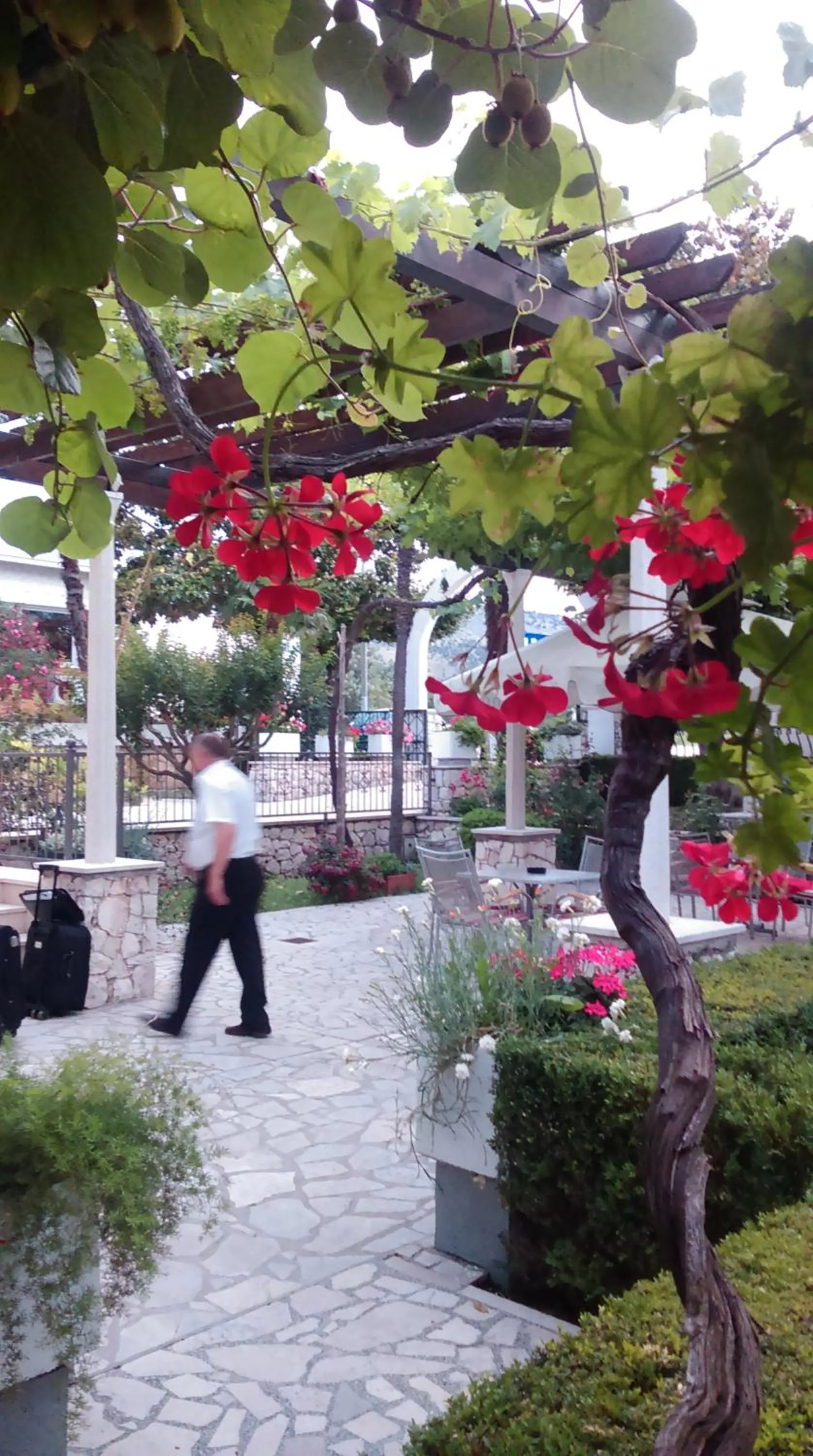 Neighbourhood in Hotel Metković