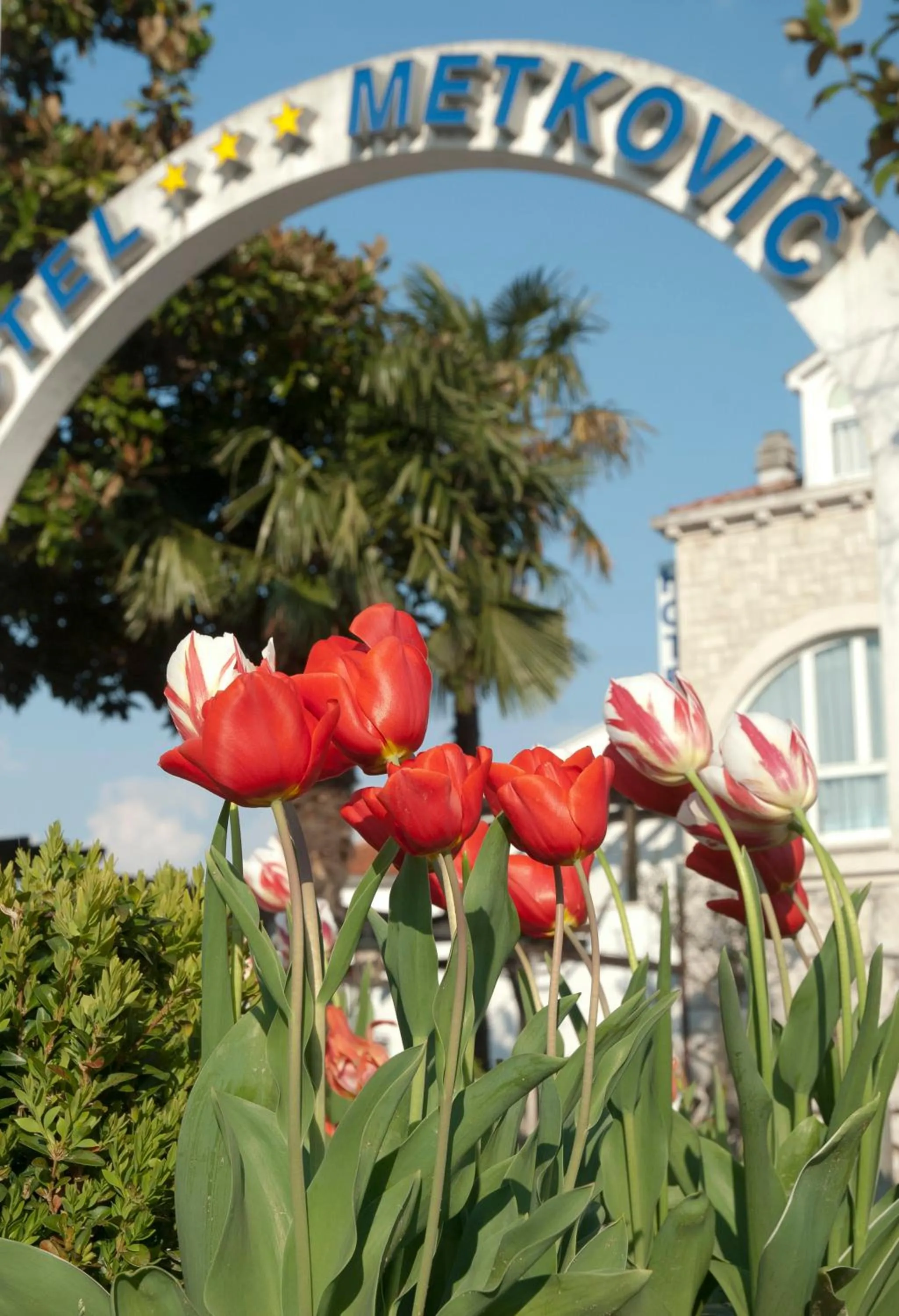 Bird's eye view in Hotel Metković