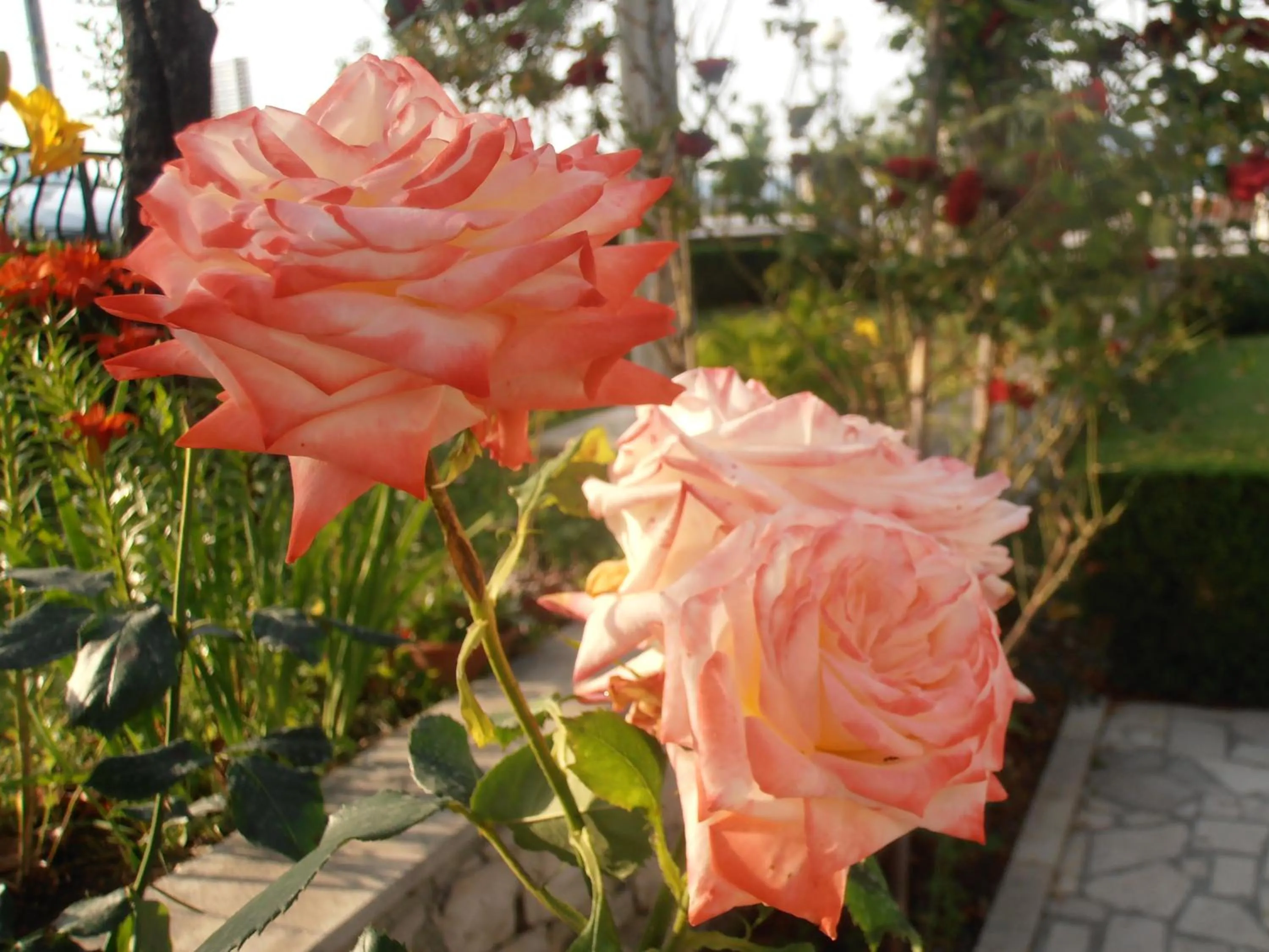 Other in Hotel Metković