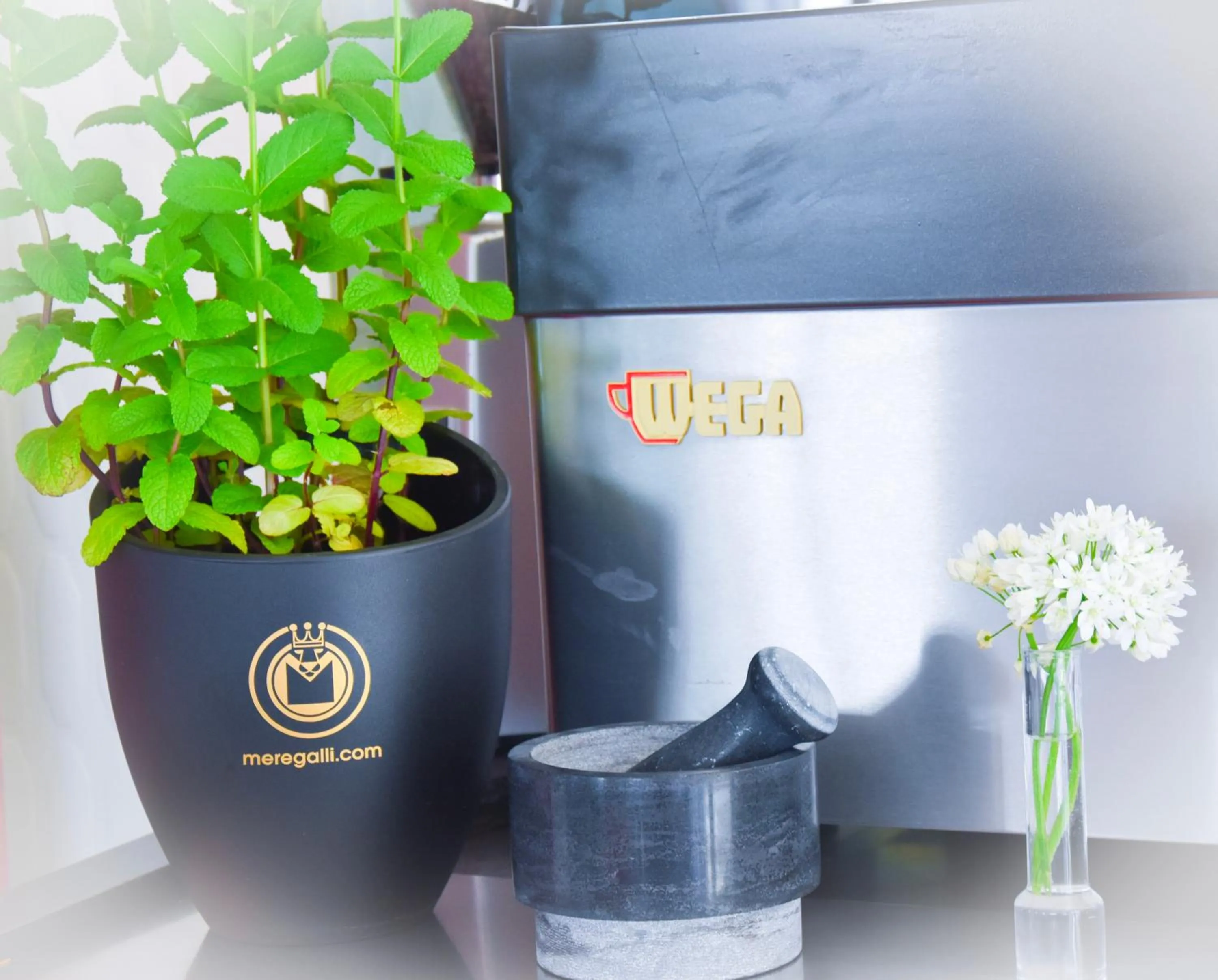 Lounge or bar in Hotel Suprem sul Mare