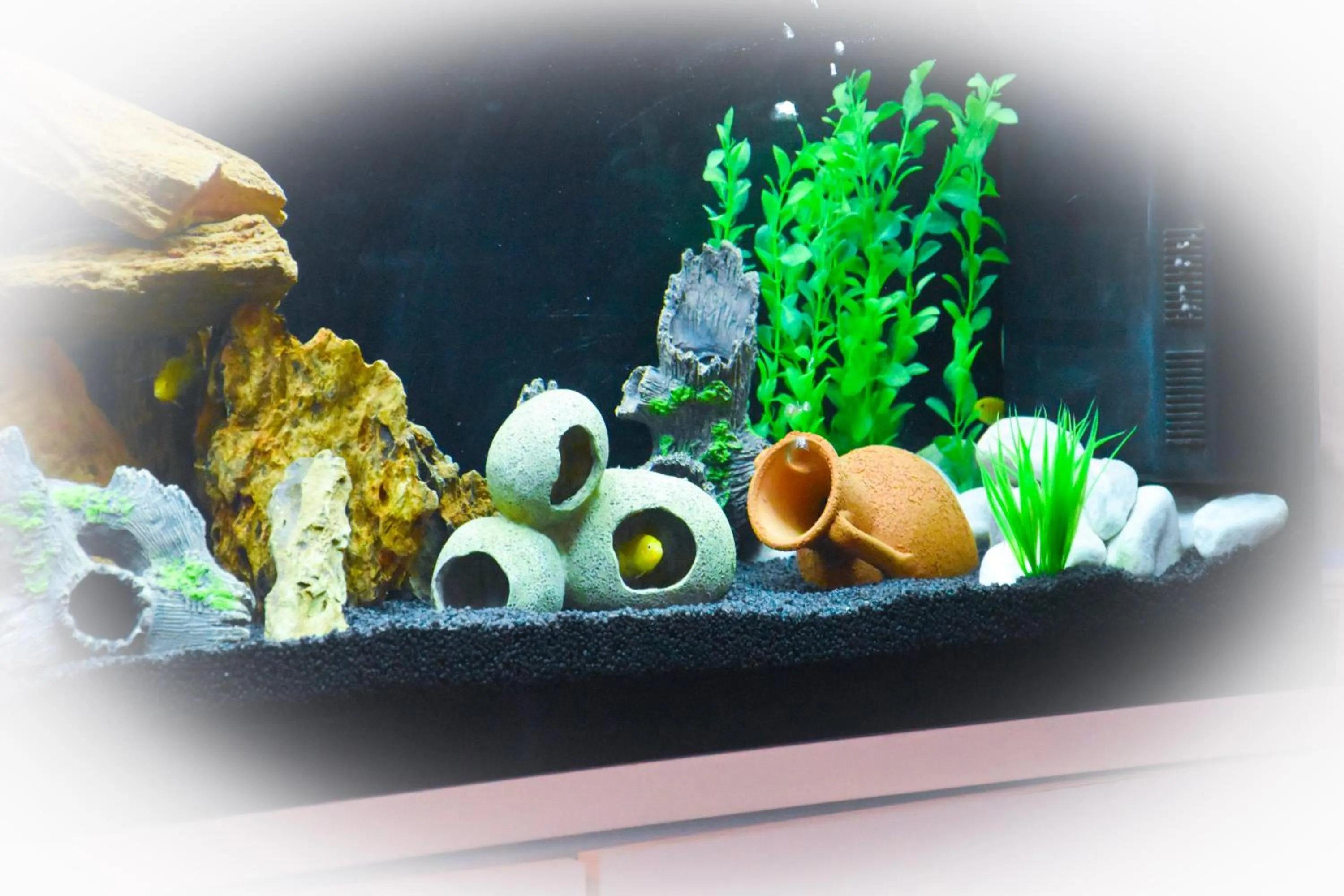 Lobby or reception in Hotel Suprem sul Mare