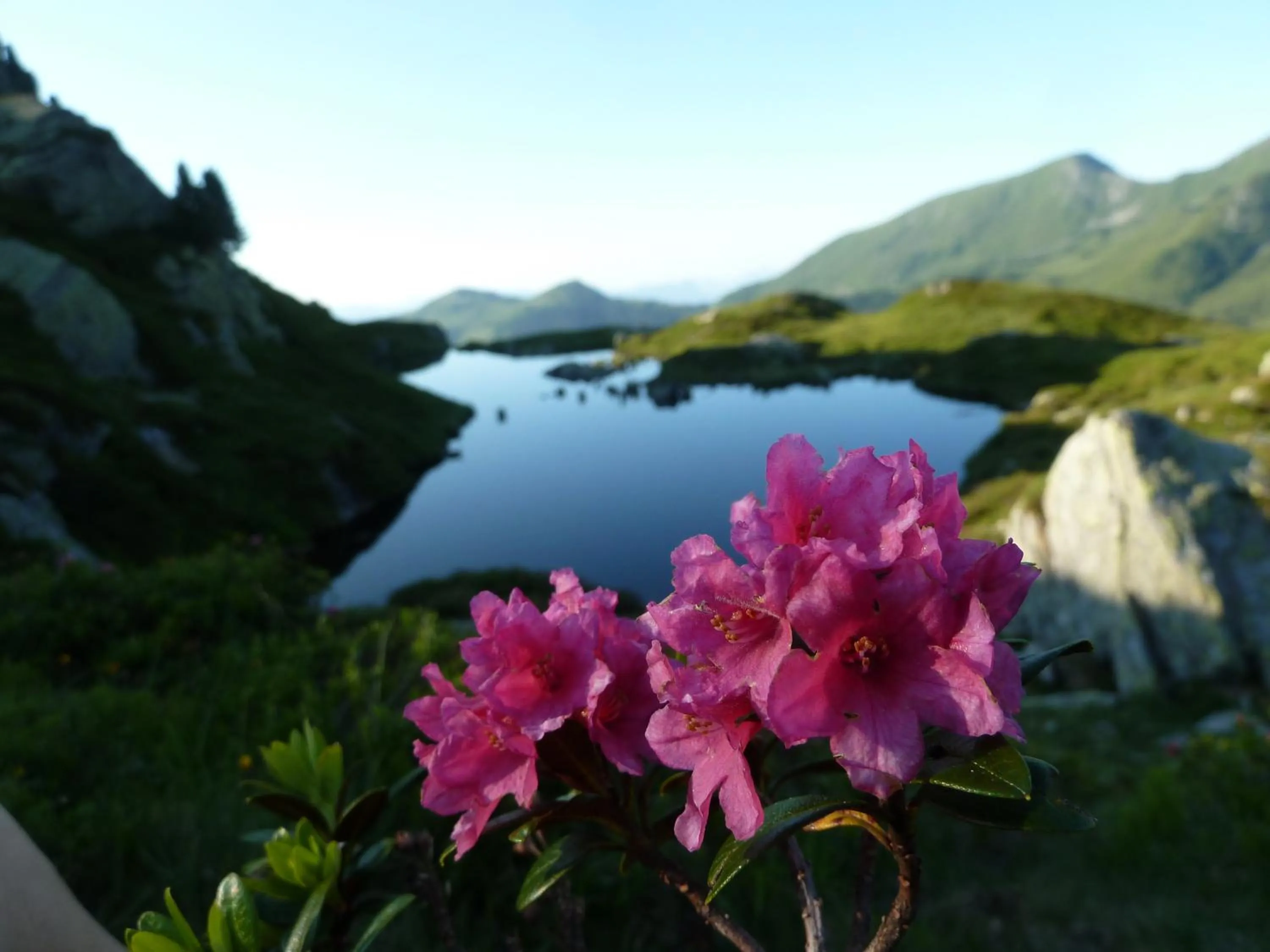 Other in Gästehaus Gratlspitz
