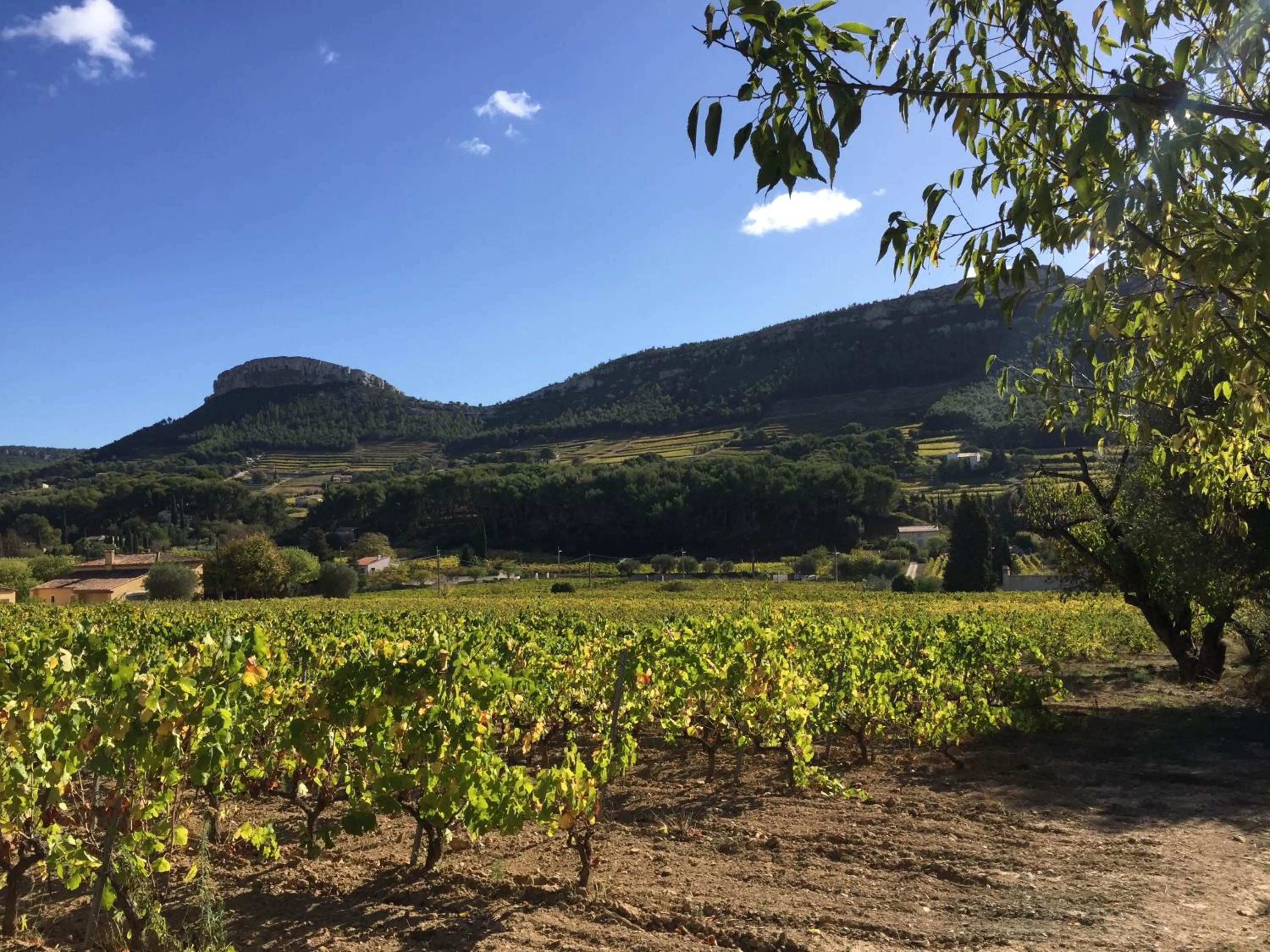 Natural landscape in Mas du Perthus