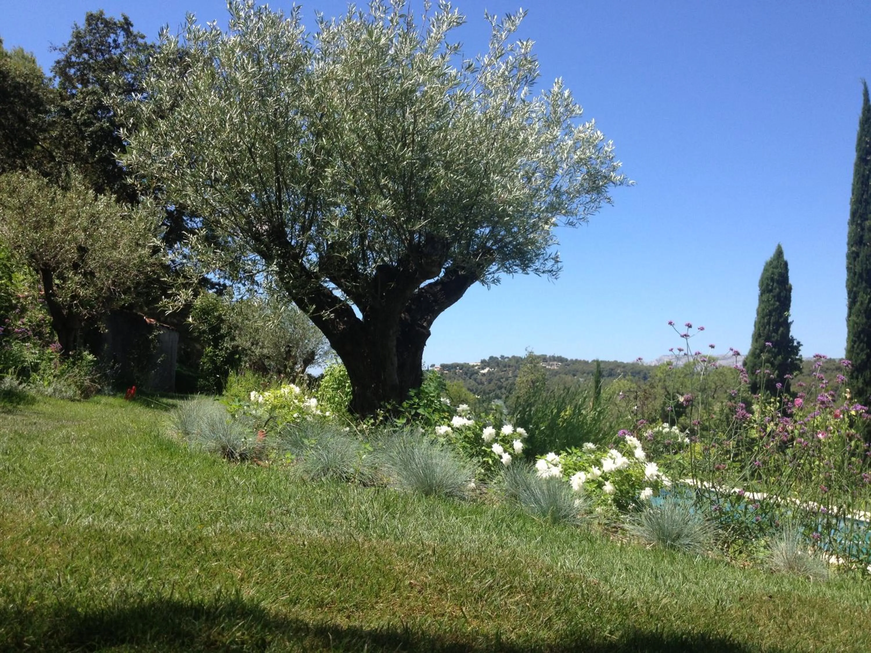 Garden in Mas du Perthus
