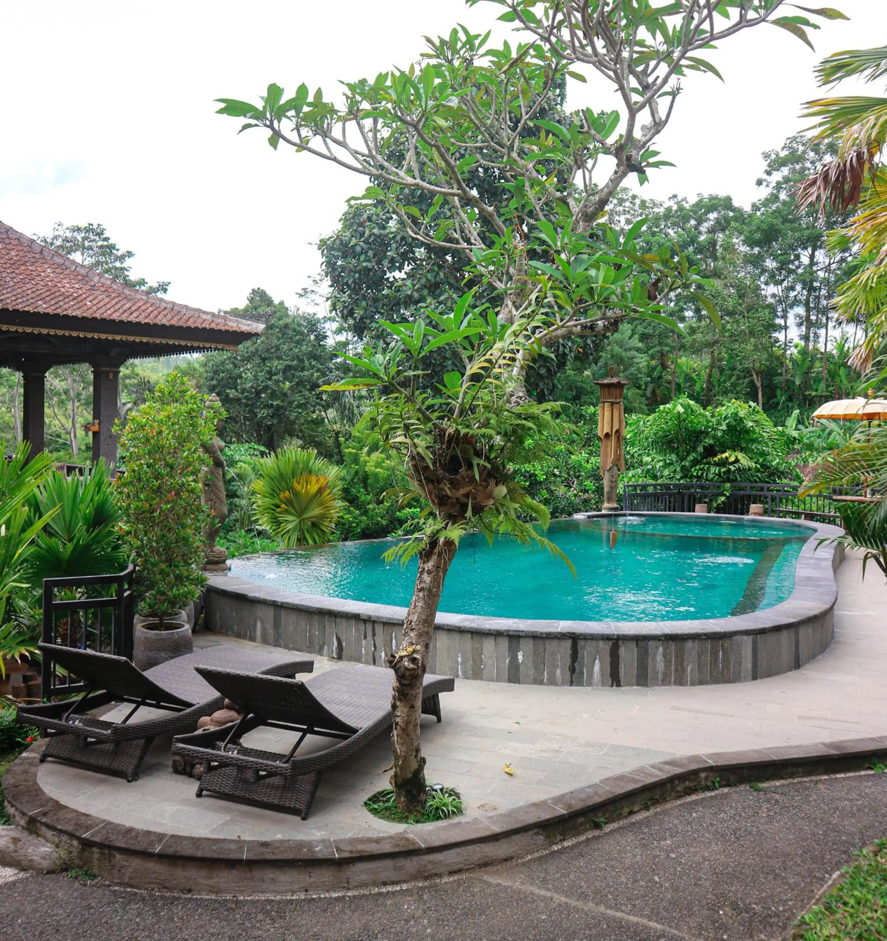 Pool view in The Lumbung Jaya by Uniquecations