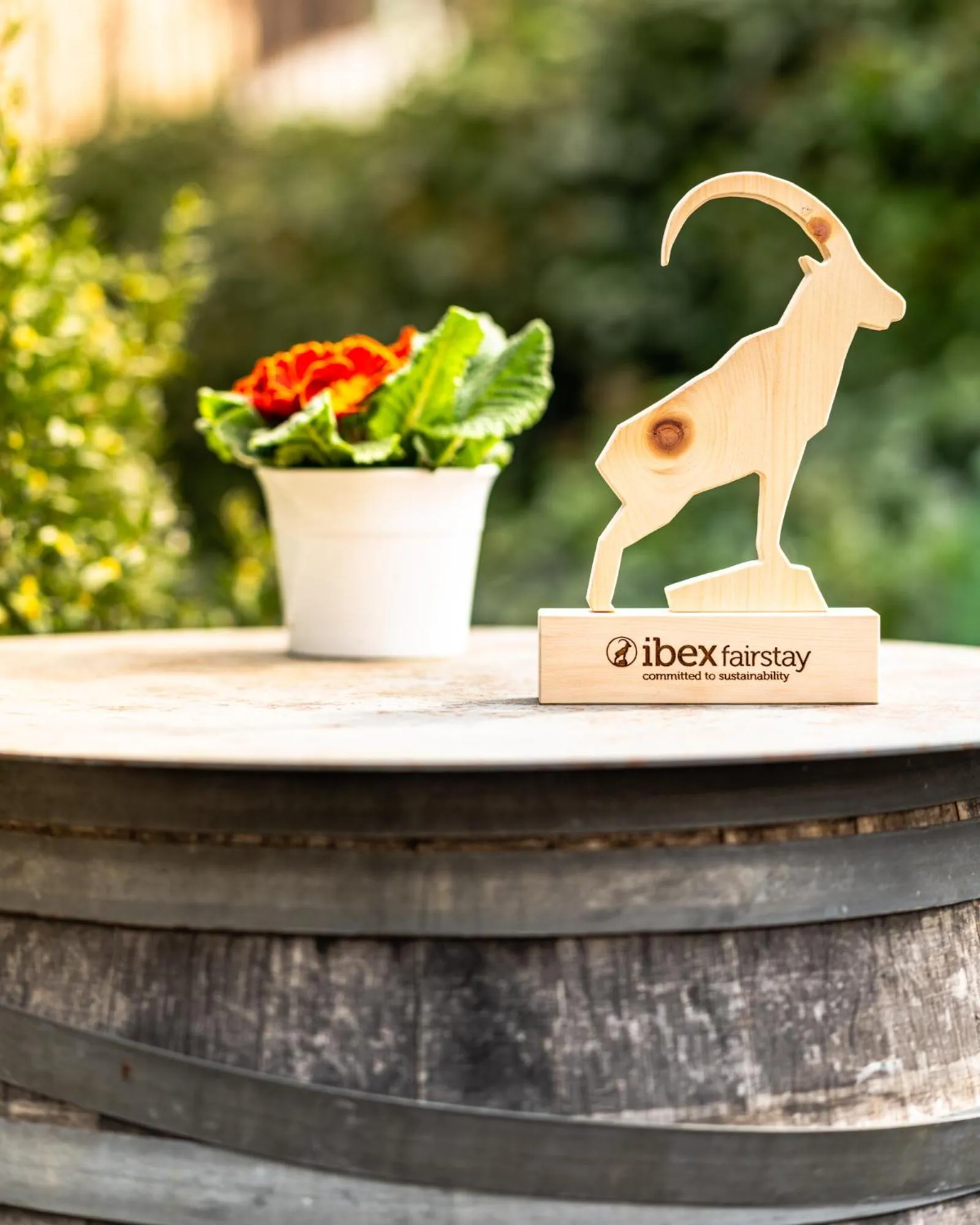 Certificate/Award in SET Hotel.Residence by Teufelhof Basel