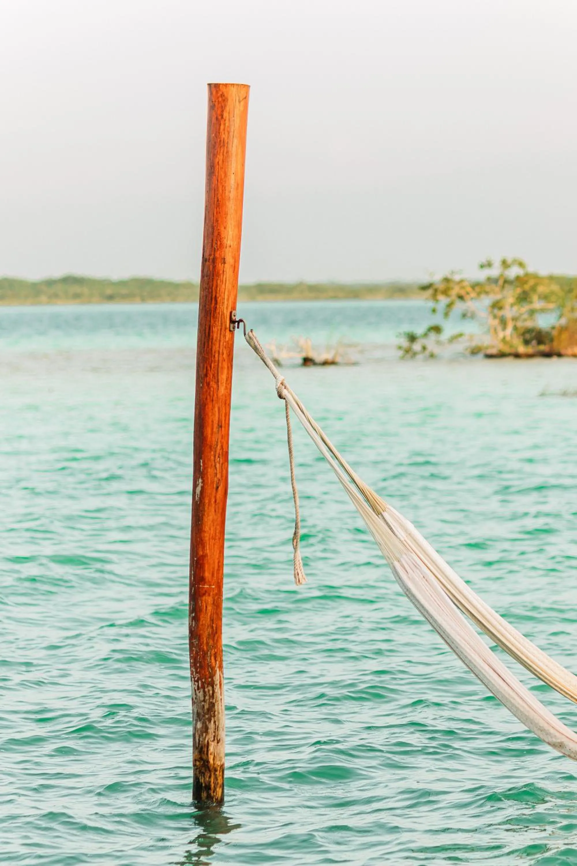 Natural landscape in Blue Bird