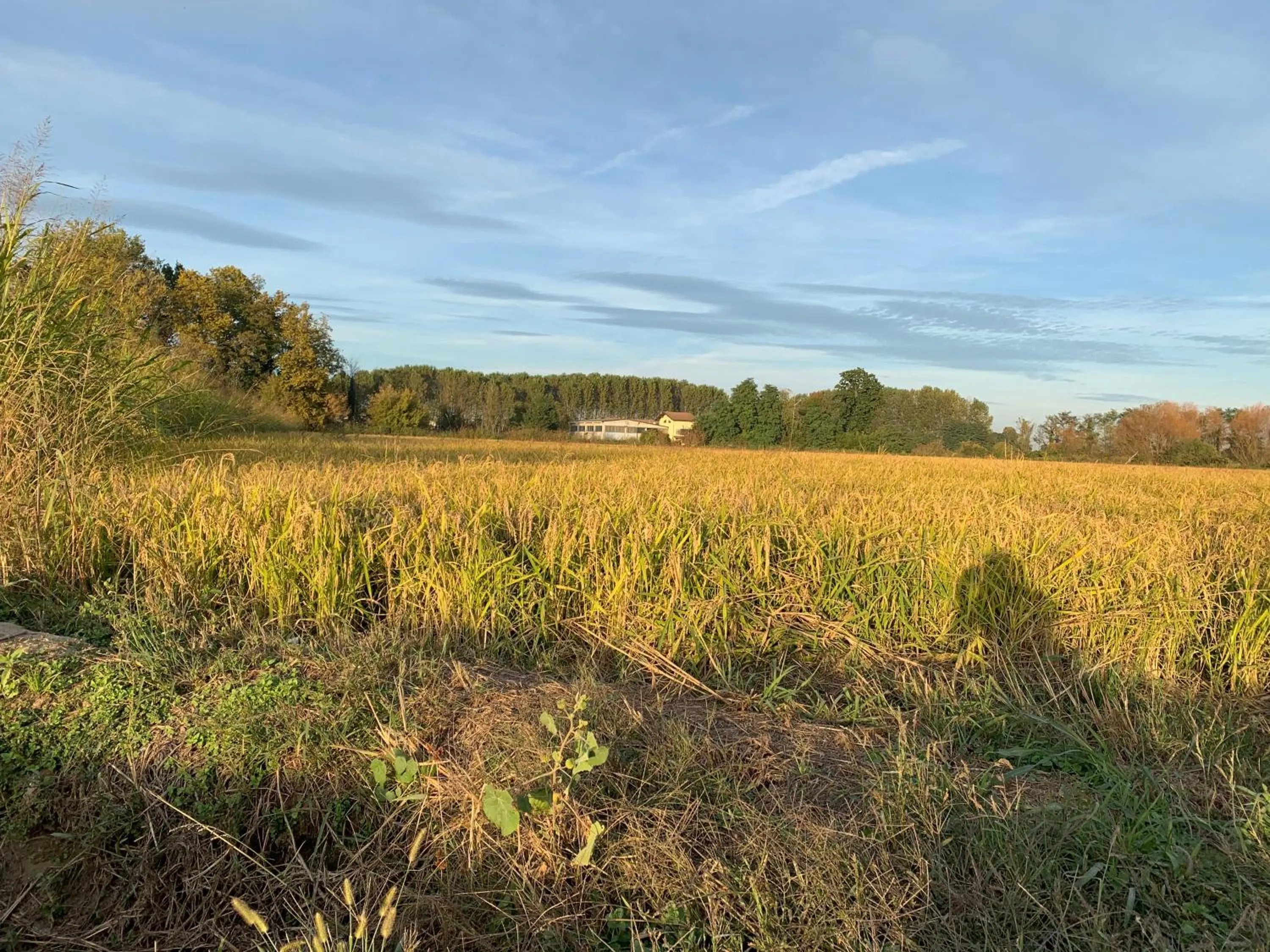 View (from property/room) in B&B dalLo Zio