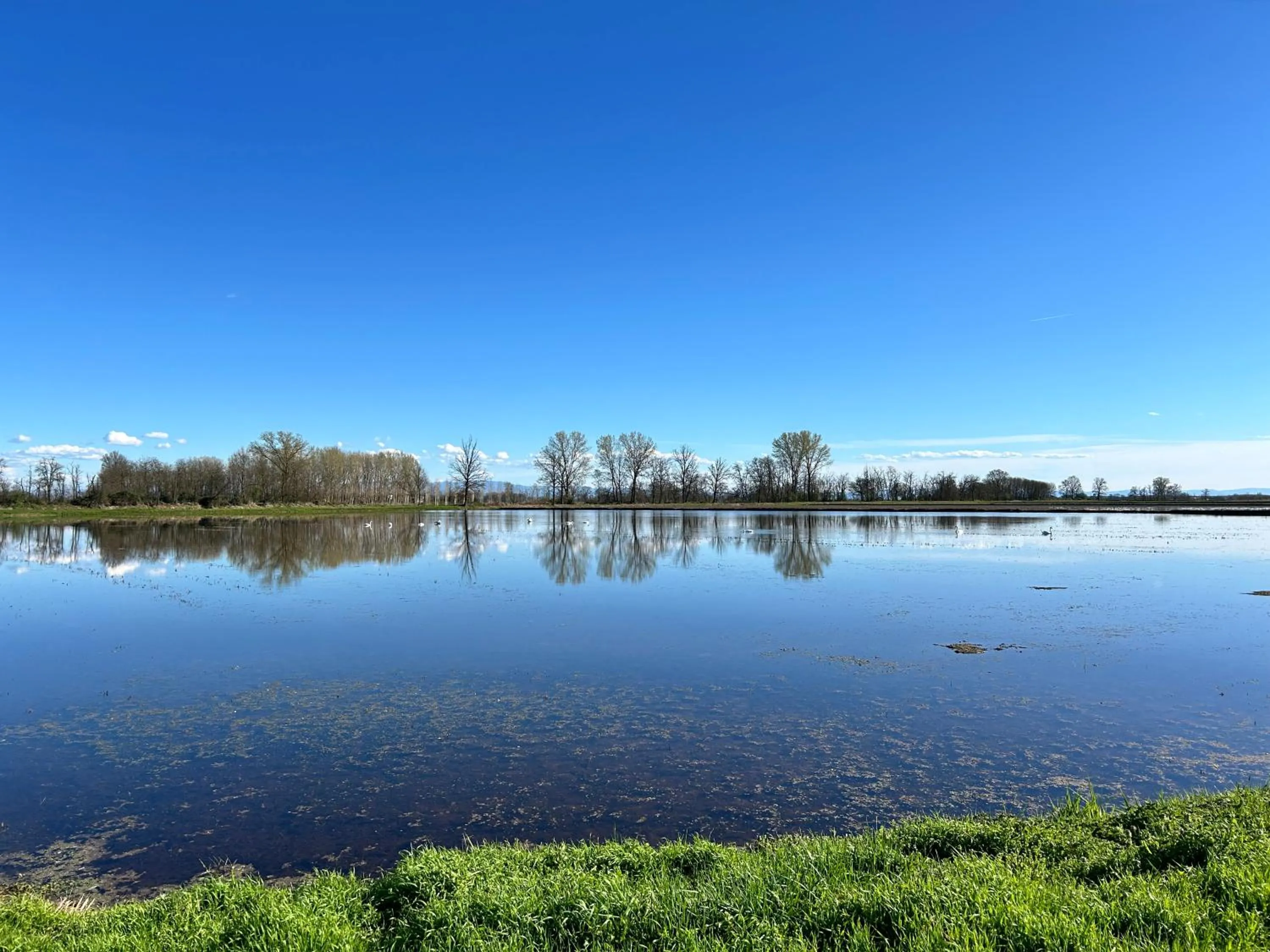 View (from property/room) in B&B dalLo Zio