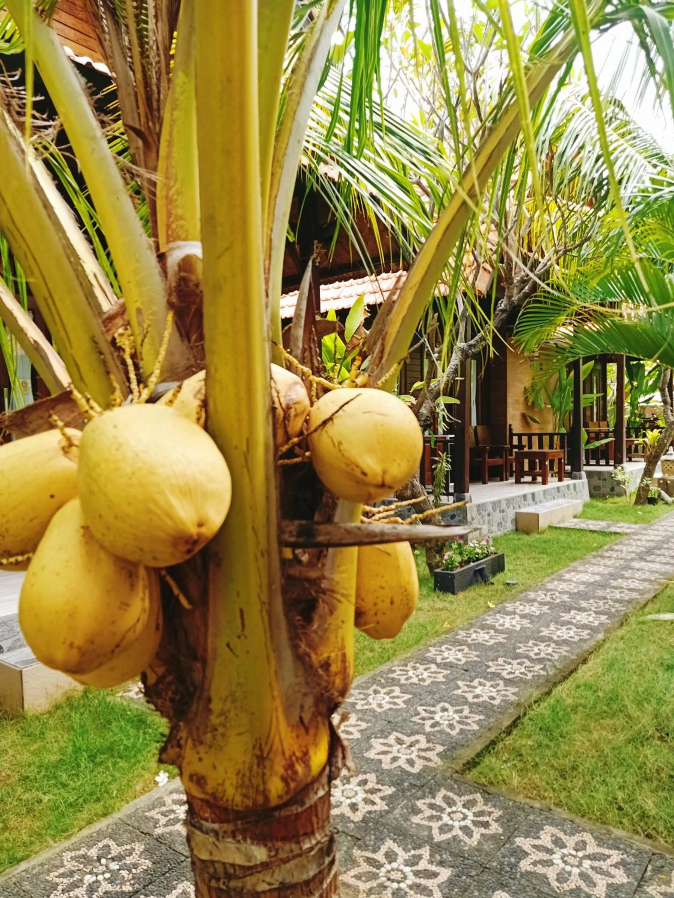Garden view in Exotic View Cottage
