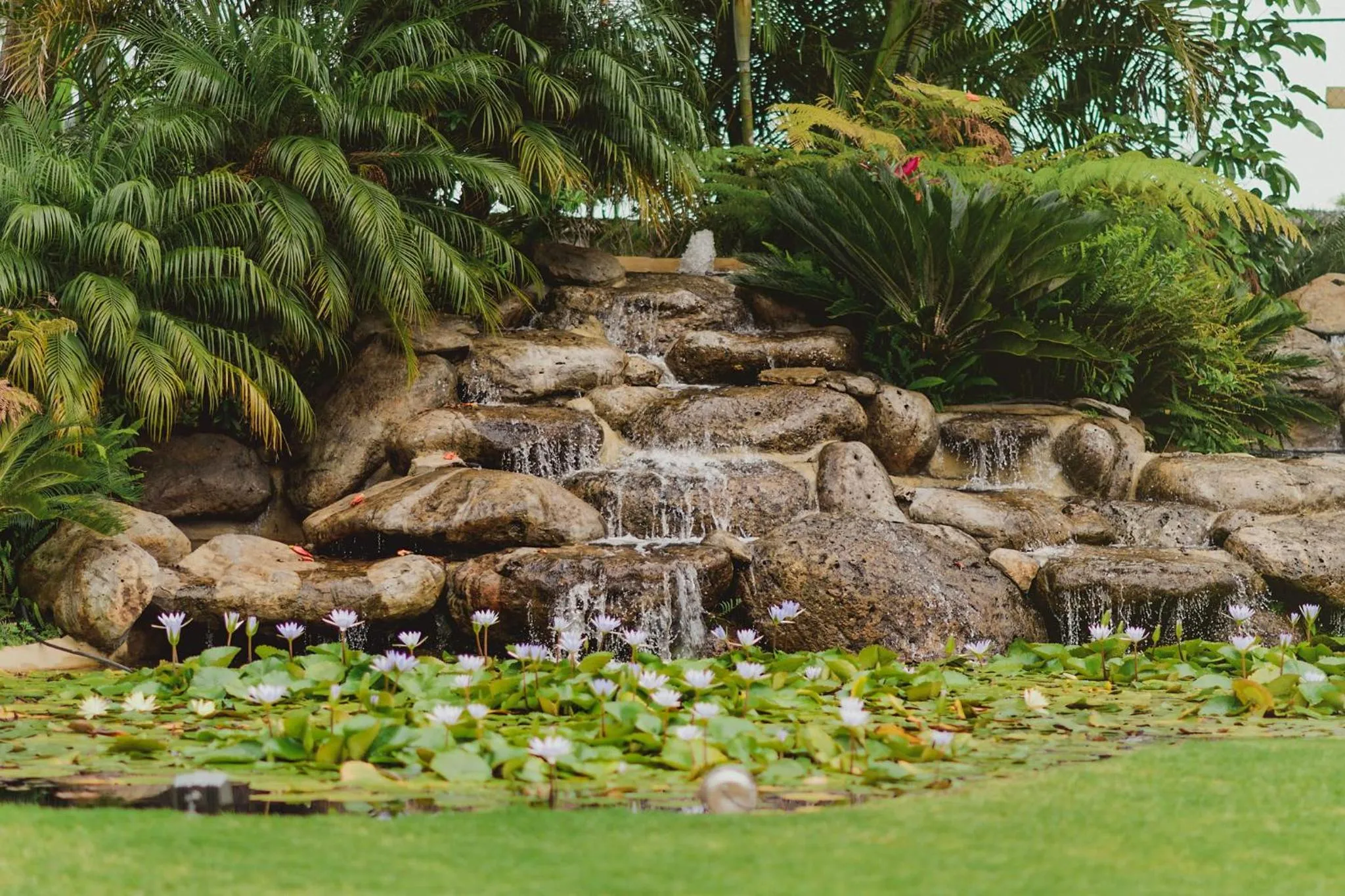 Natural landscape in Alilo by Muuk