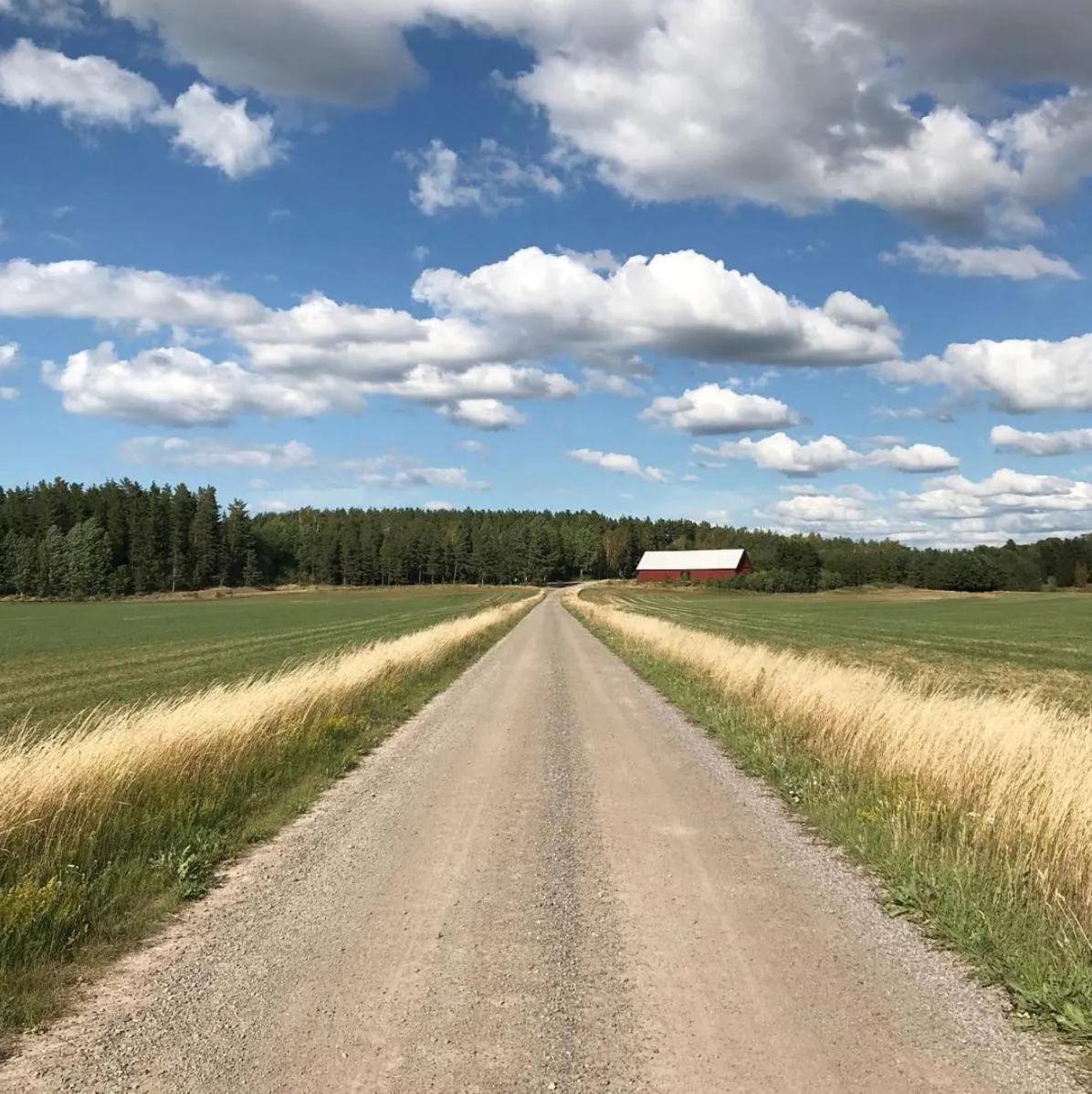 Neighbourhood in Klefstad gård