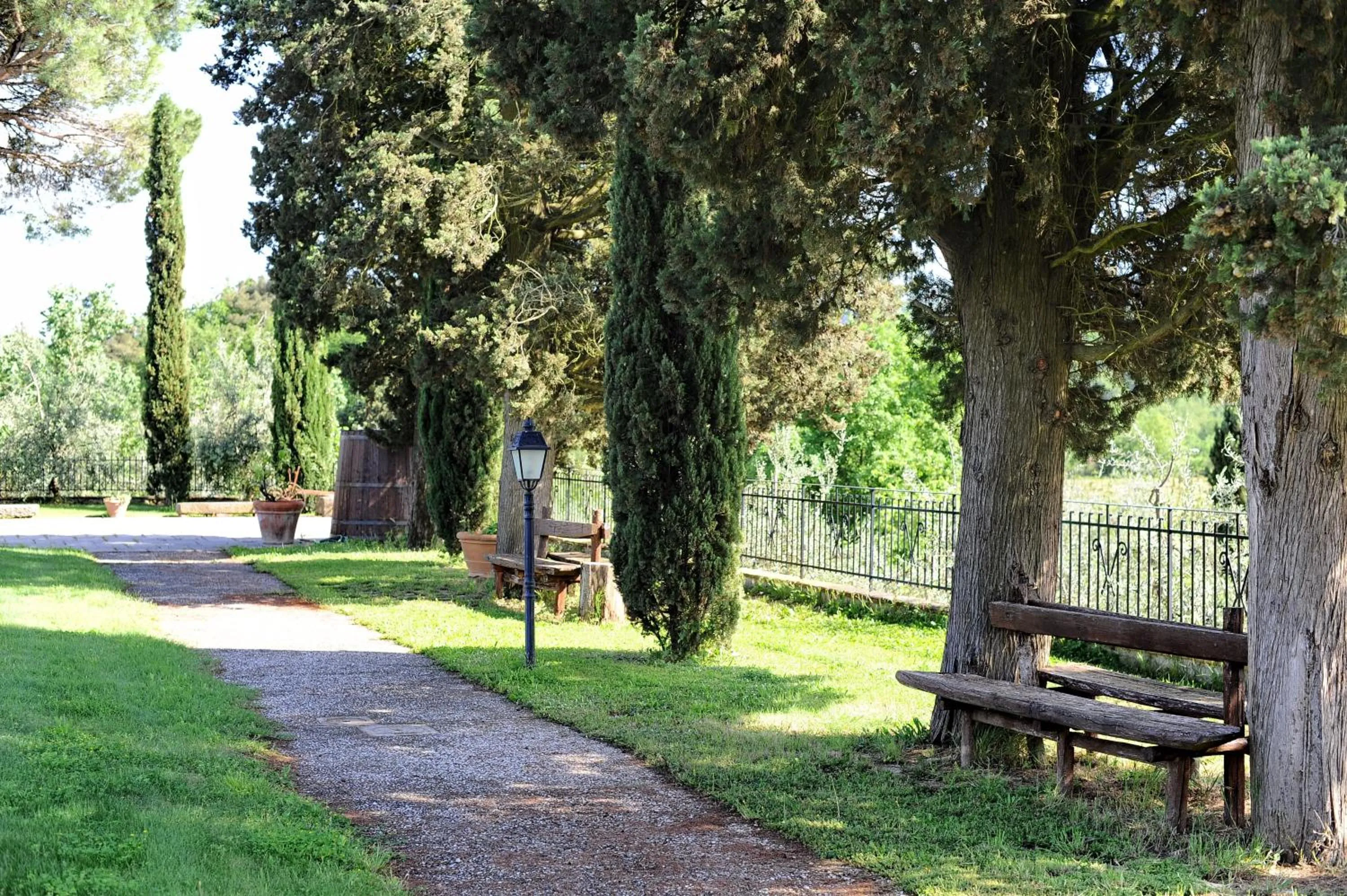 Garden in Erboli Residence