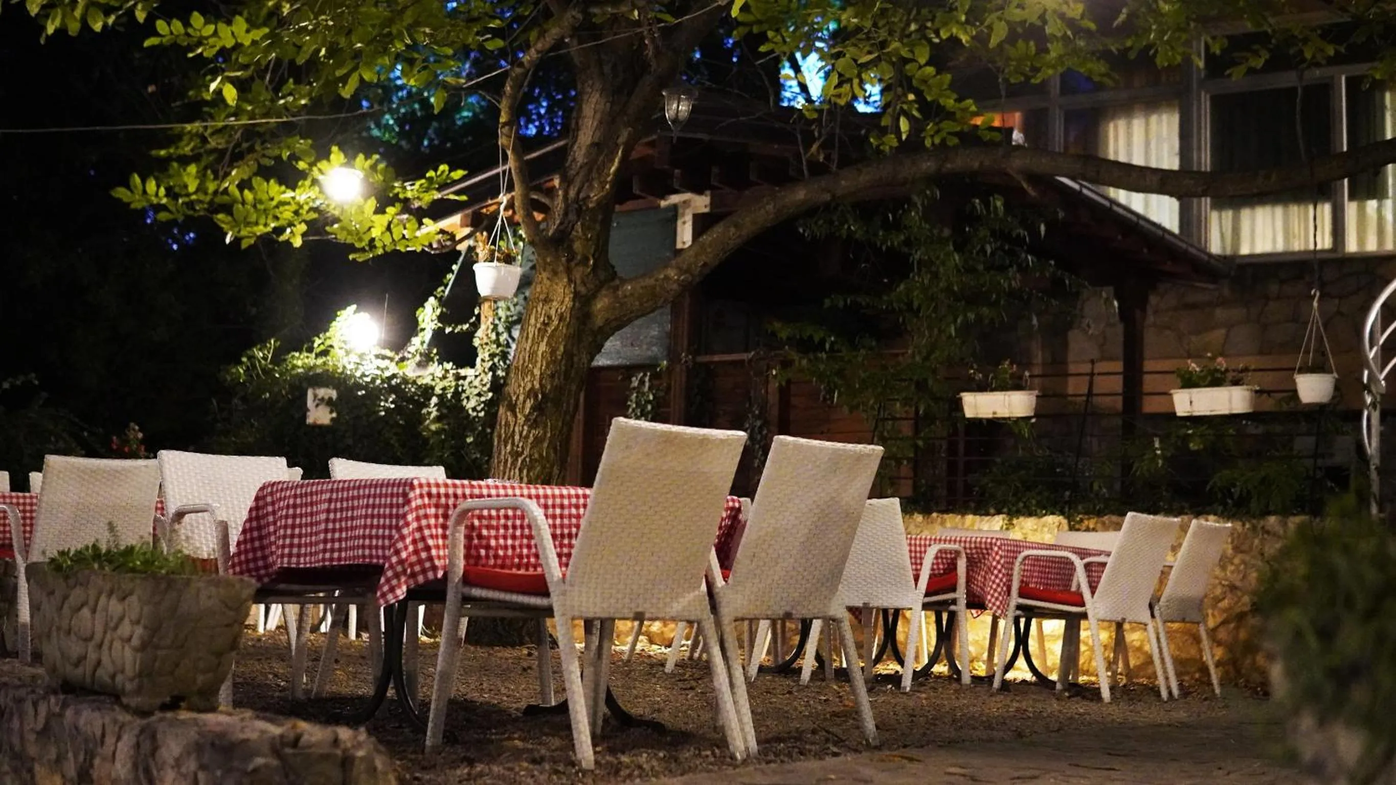 Restaurant/places to eat in Hotel Vila Ivanković