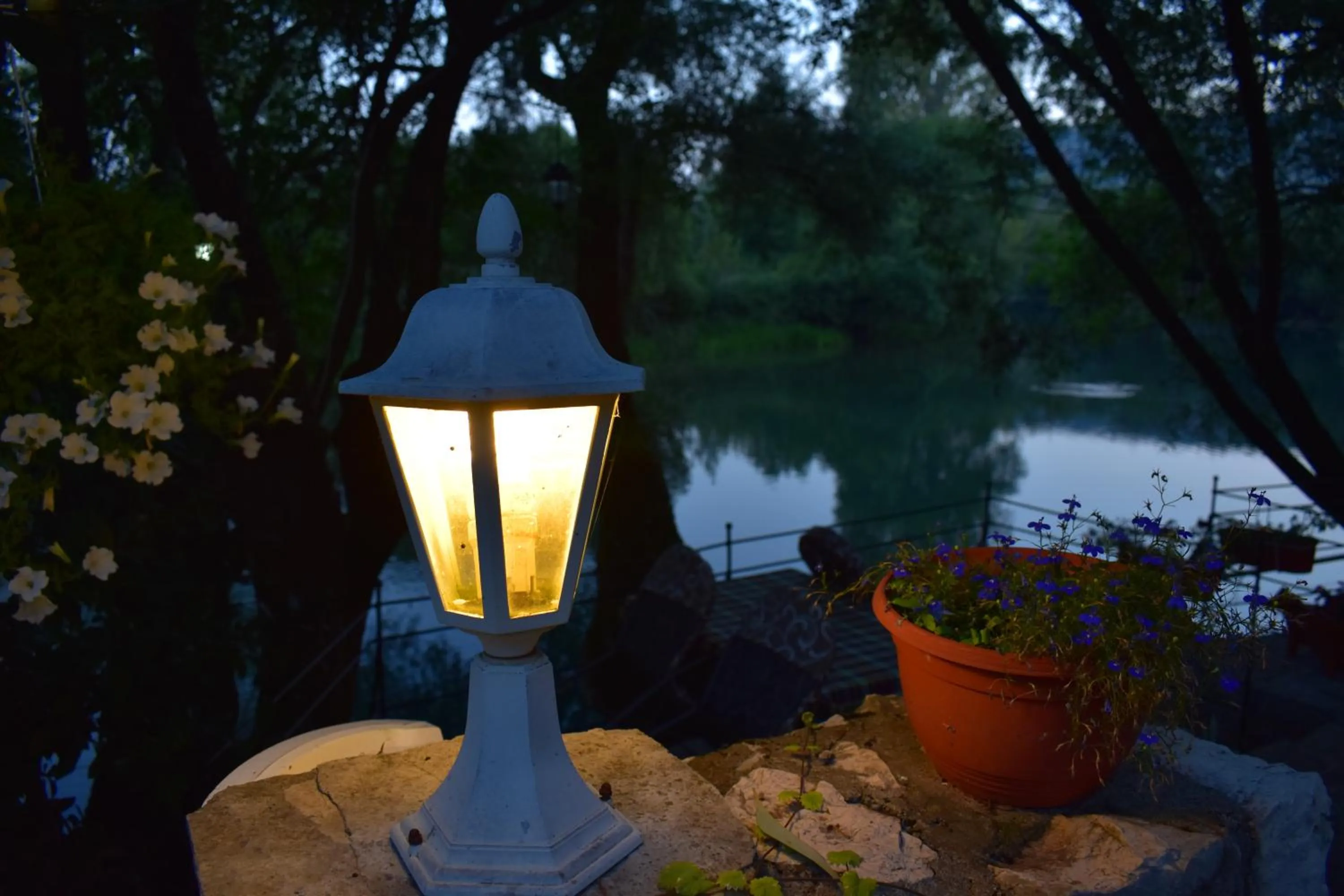 Natural landscape in Hotel Vila Ivanković