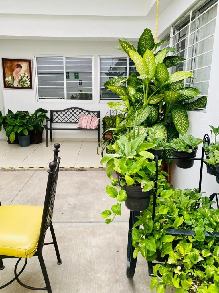 Inner courtyard view in El Rincon de Los Angeles