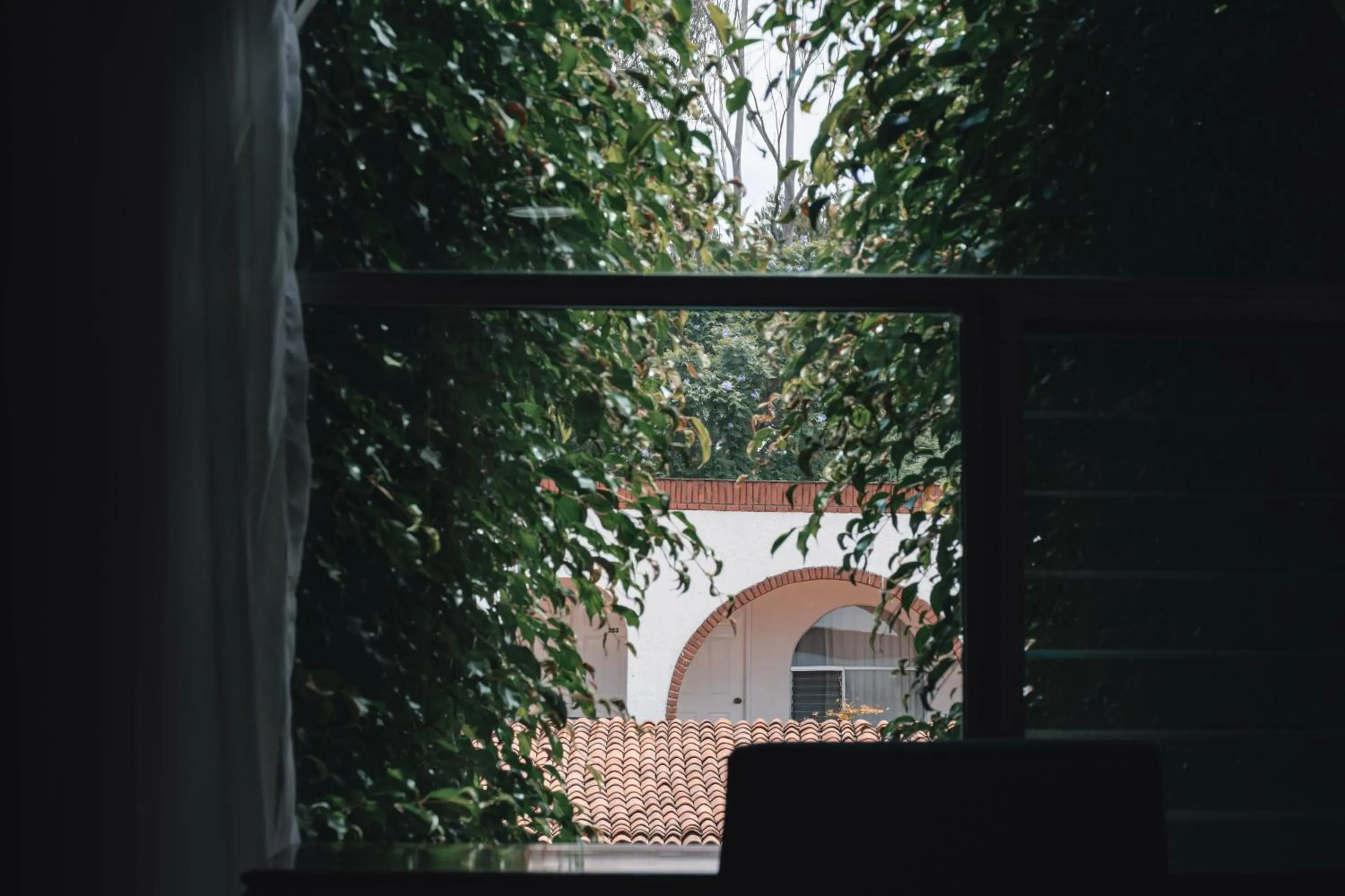 Photo of the whole room in Hotel & Suites Villa del Sol