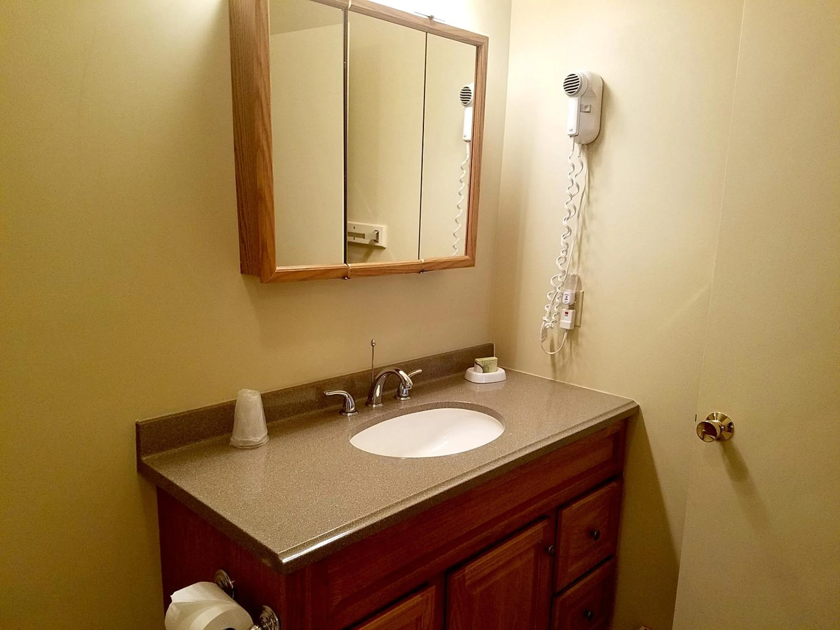 Village of Loon Mountain